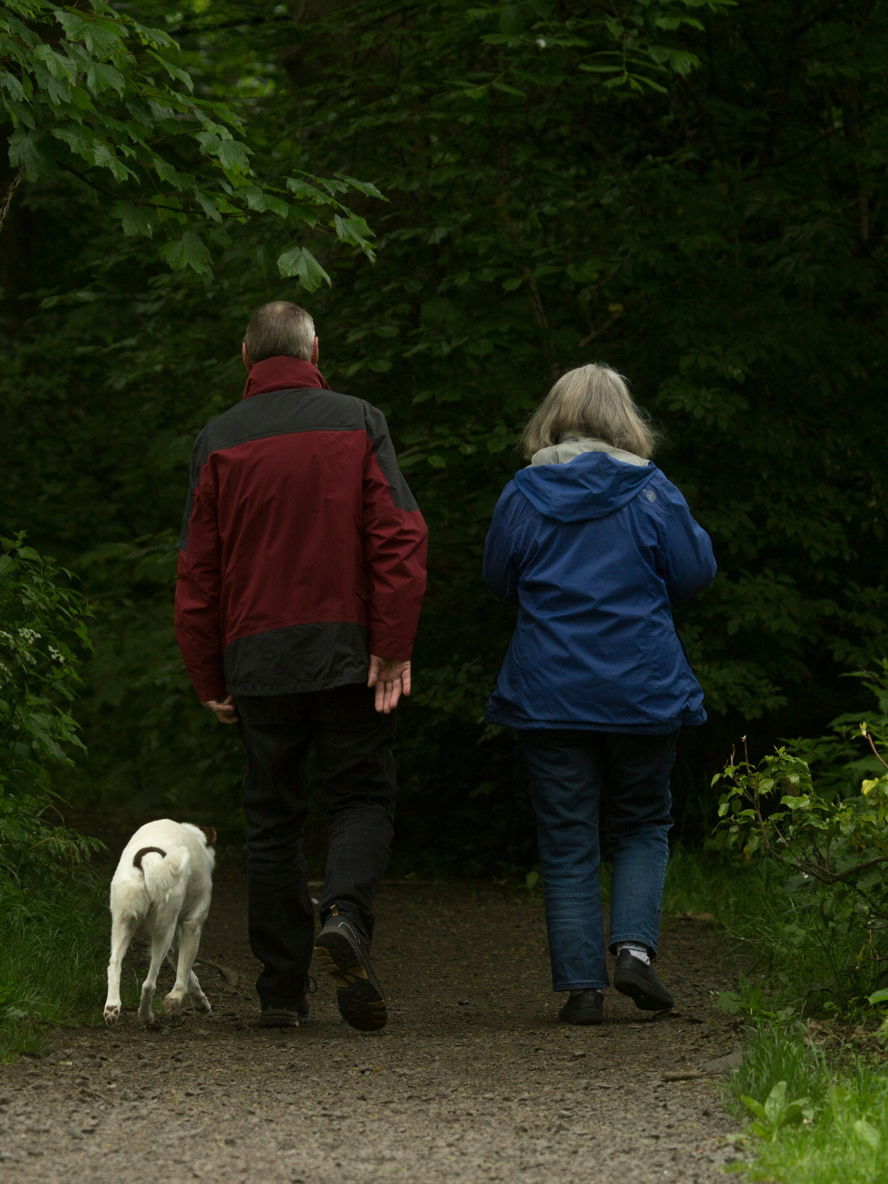 couple walking in the woods with a dog