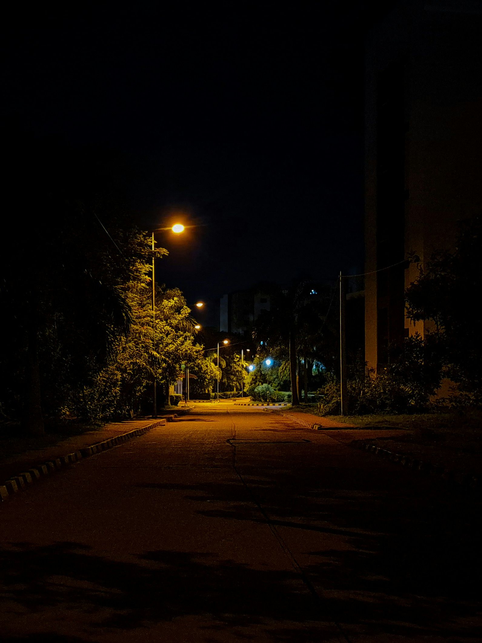 Night walk