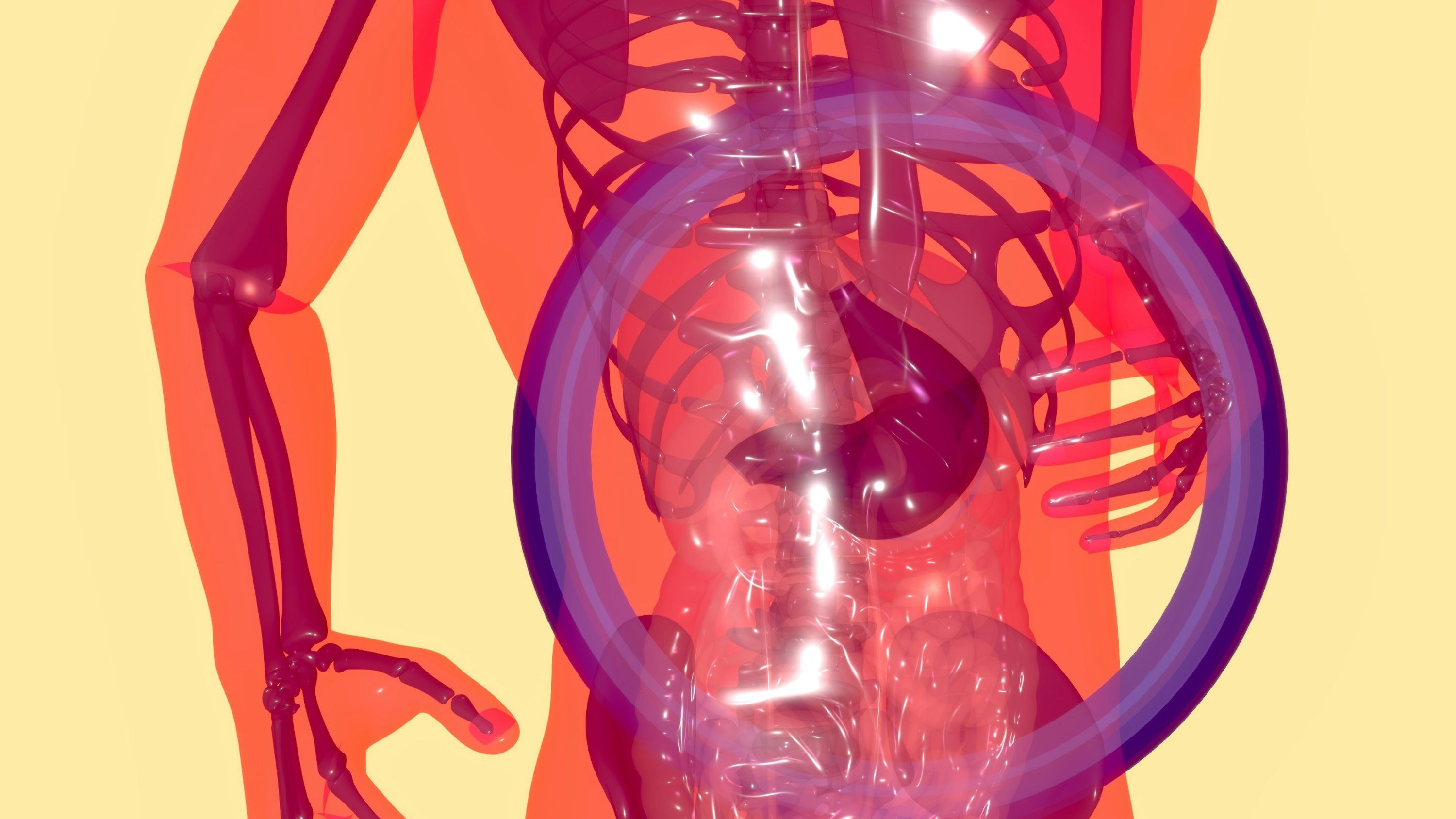 illustration of gut