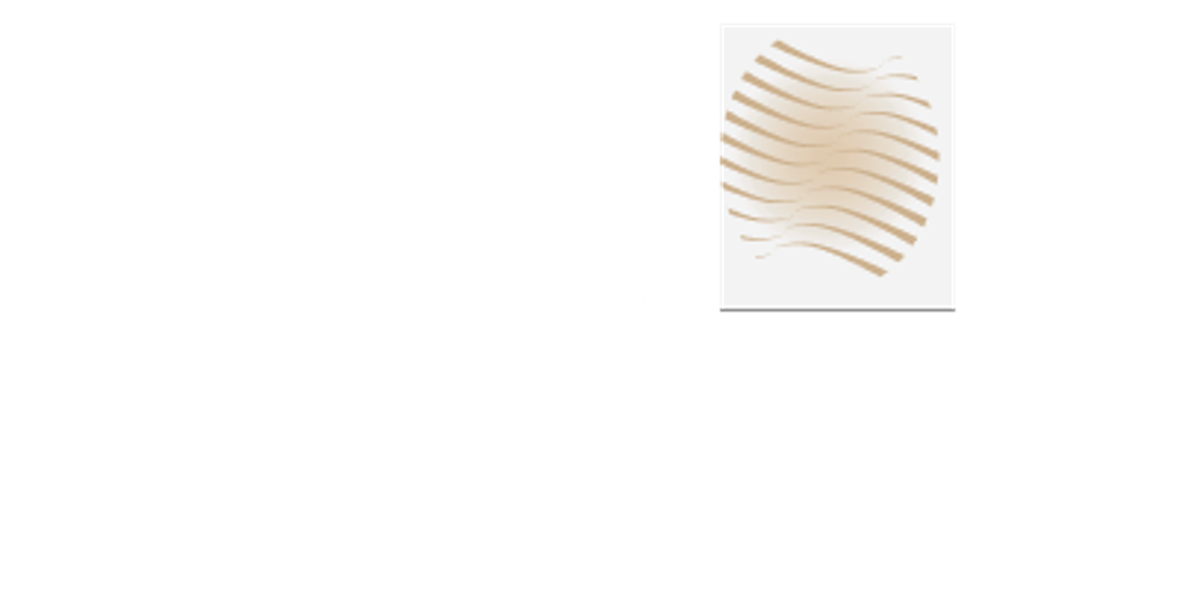Athar – Health Endowment Foundation logo