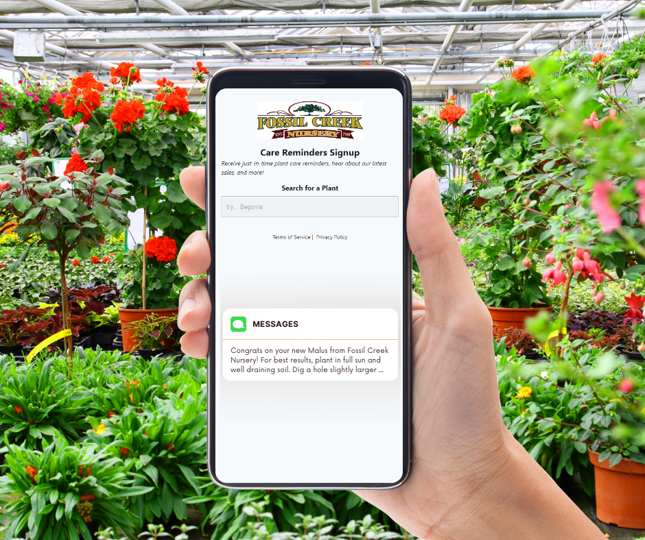 Fossil Creek Nursery A Northern Colorado Nursery