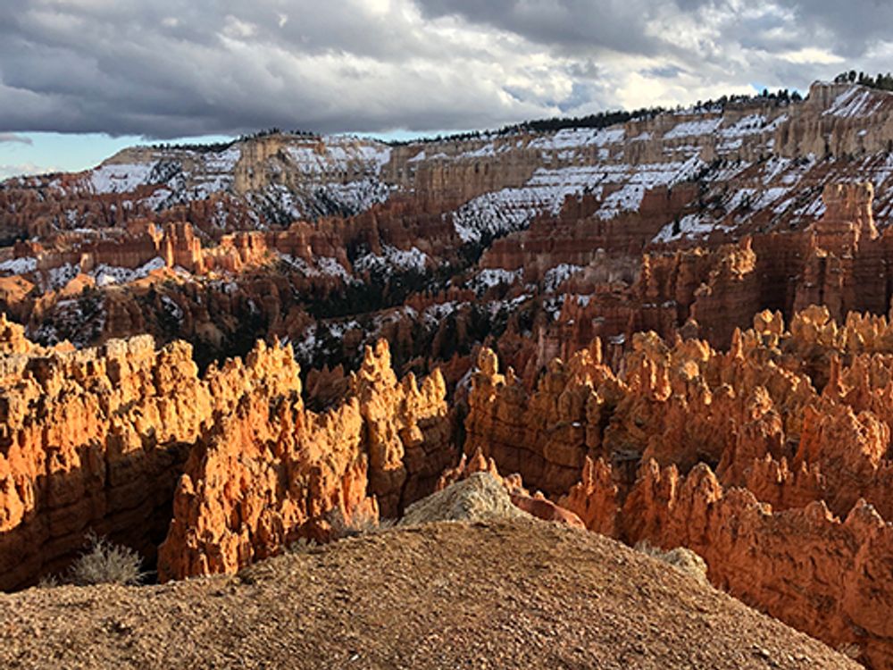 Image for Emil Guillermo: On hoodoos, the Harvard trial, and story slamming