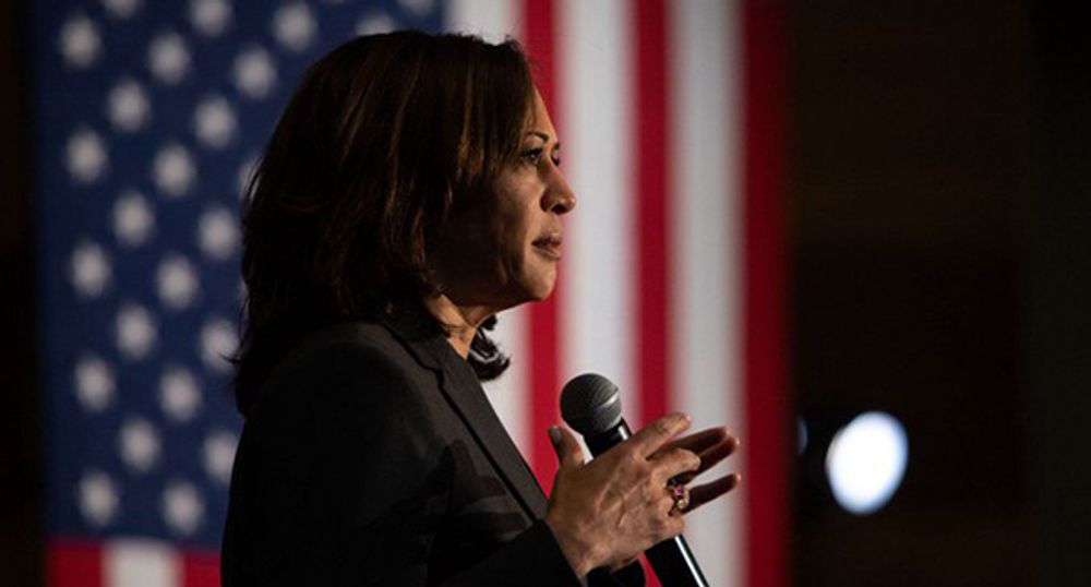 Image for Emil Guillermo: Kamala Harris fizzles as diversity's hope in presidential race