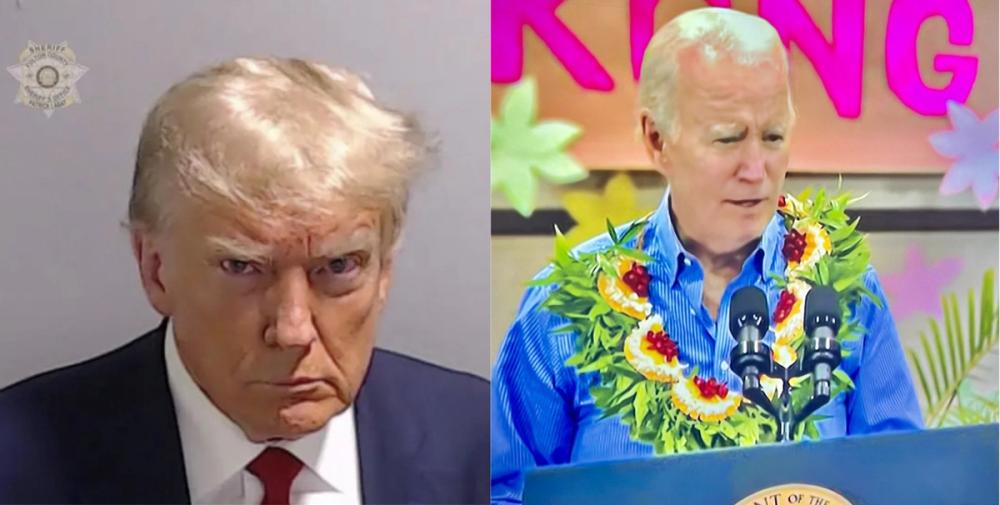 Image for Emil Guillermo: Democracy split screen for 2024–Trump's mug shot and Biden by the banyan