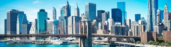 Image for Charter Bus Rentals in NY