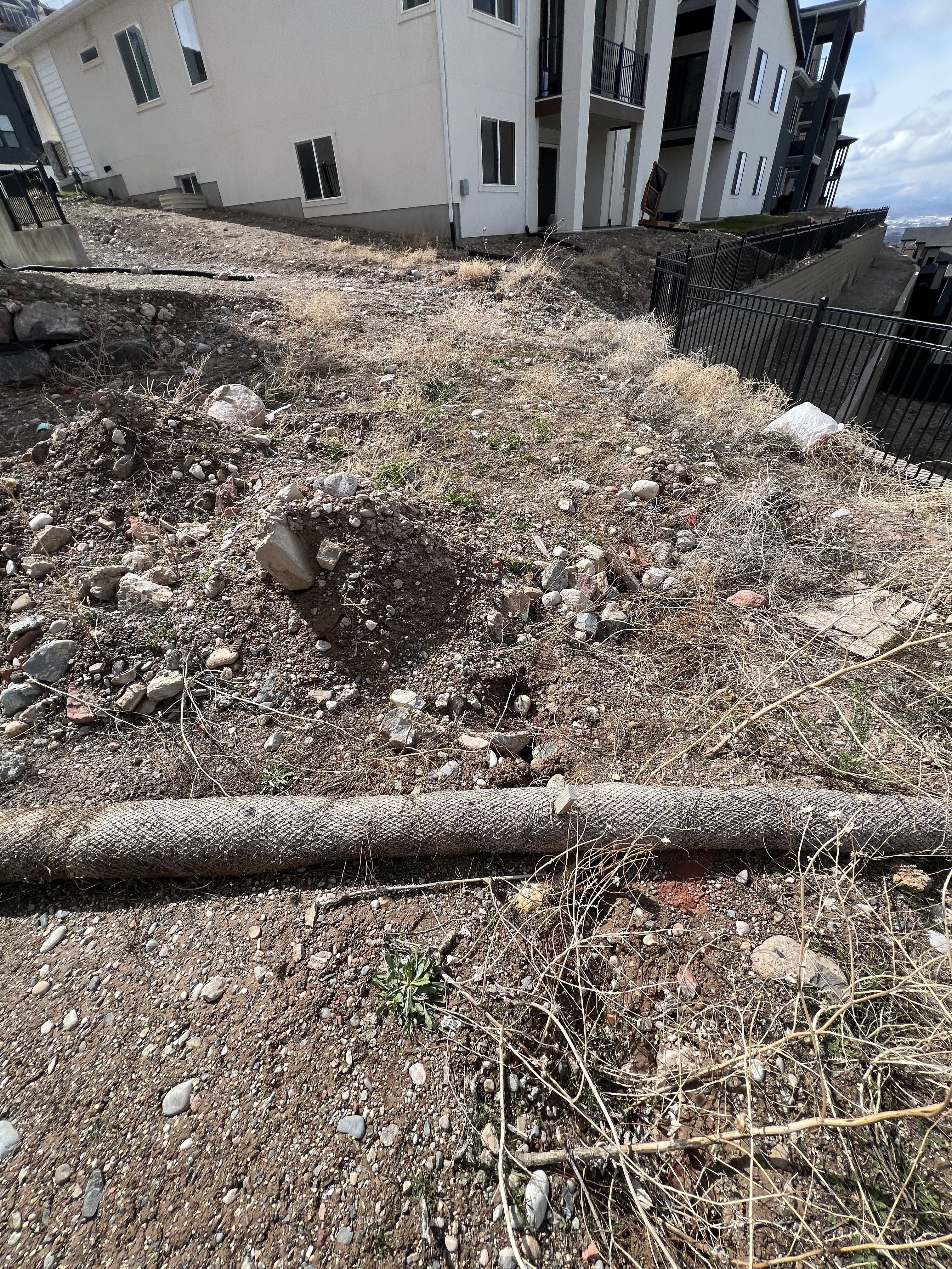 Backyard Replacement - Before