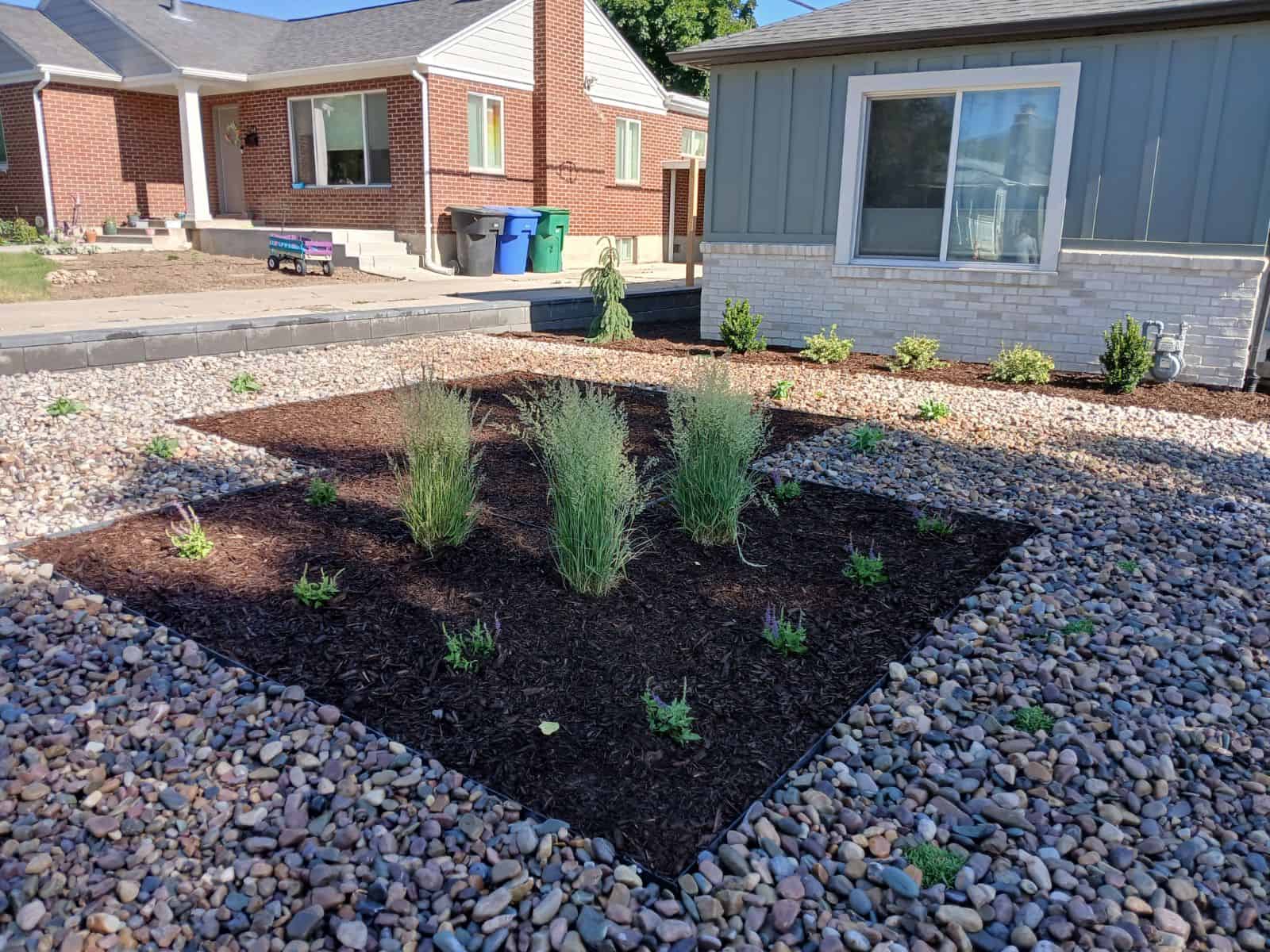 Xeriscape in Millcreek 