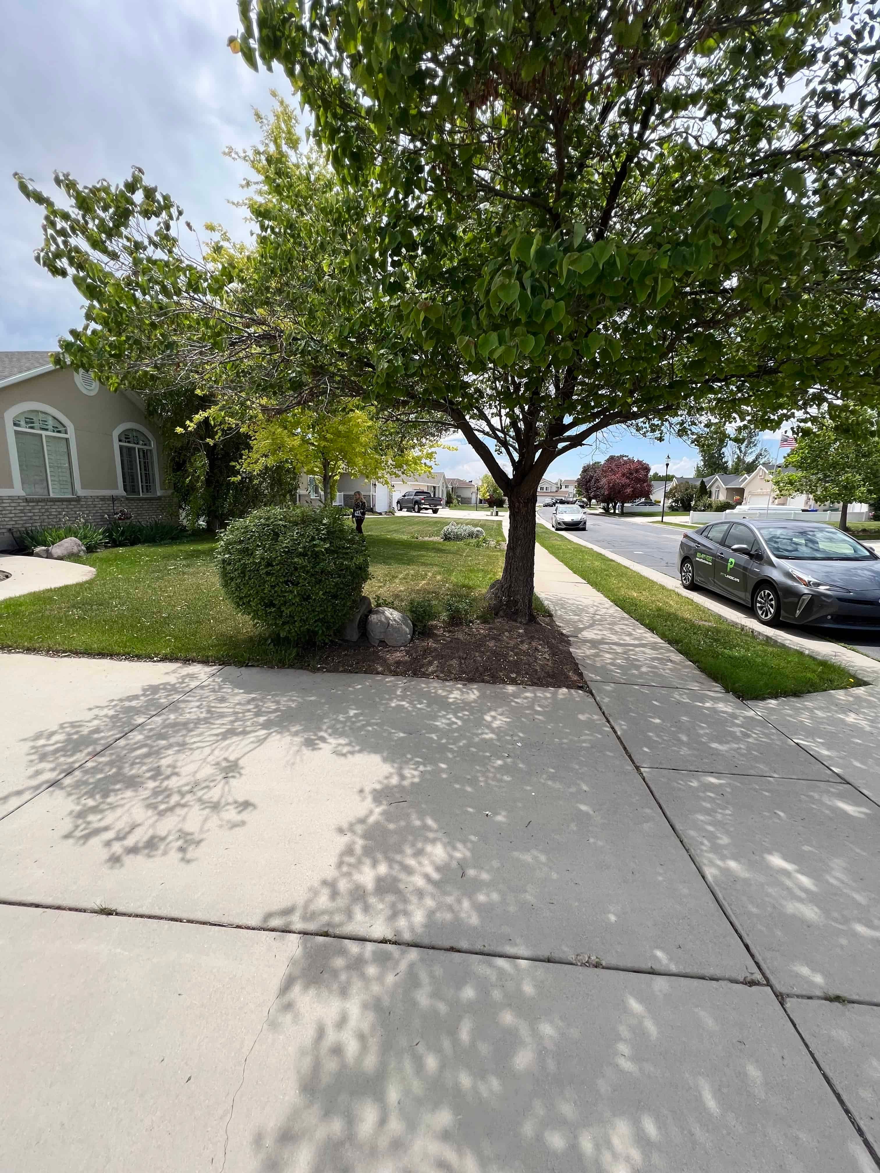 Before photo of front yard in West Jordan, Utah prior to landscape renovation.