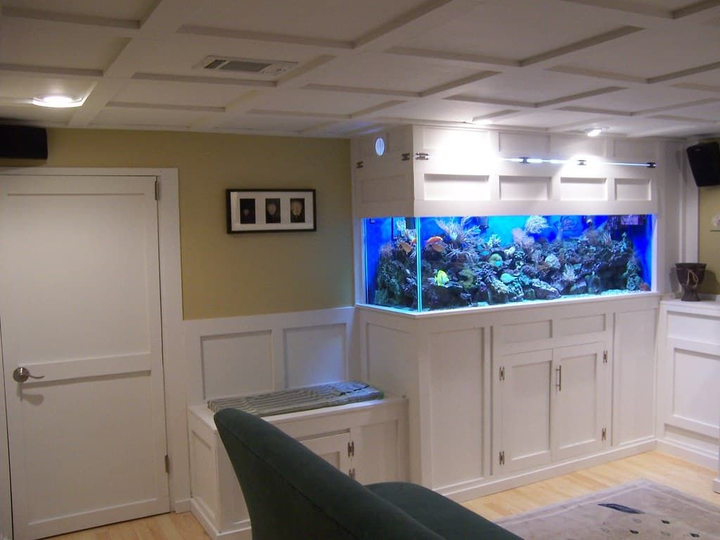 Integrated aquarium in a finished basement in Sandy, Utah, adding natural beauty to the space.