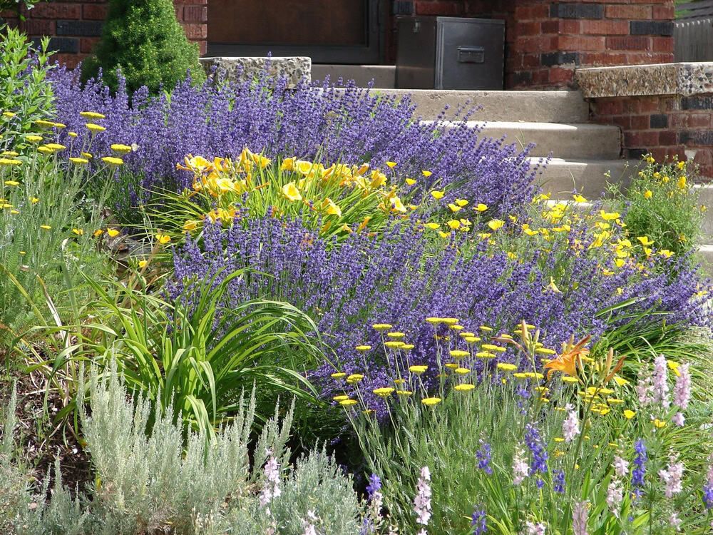 Flowerbed maintenance with vibrant flowers, fresh mulch, and professional care.