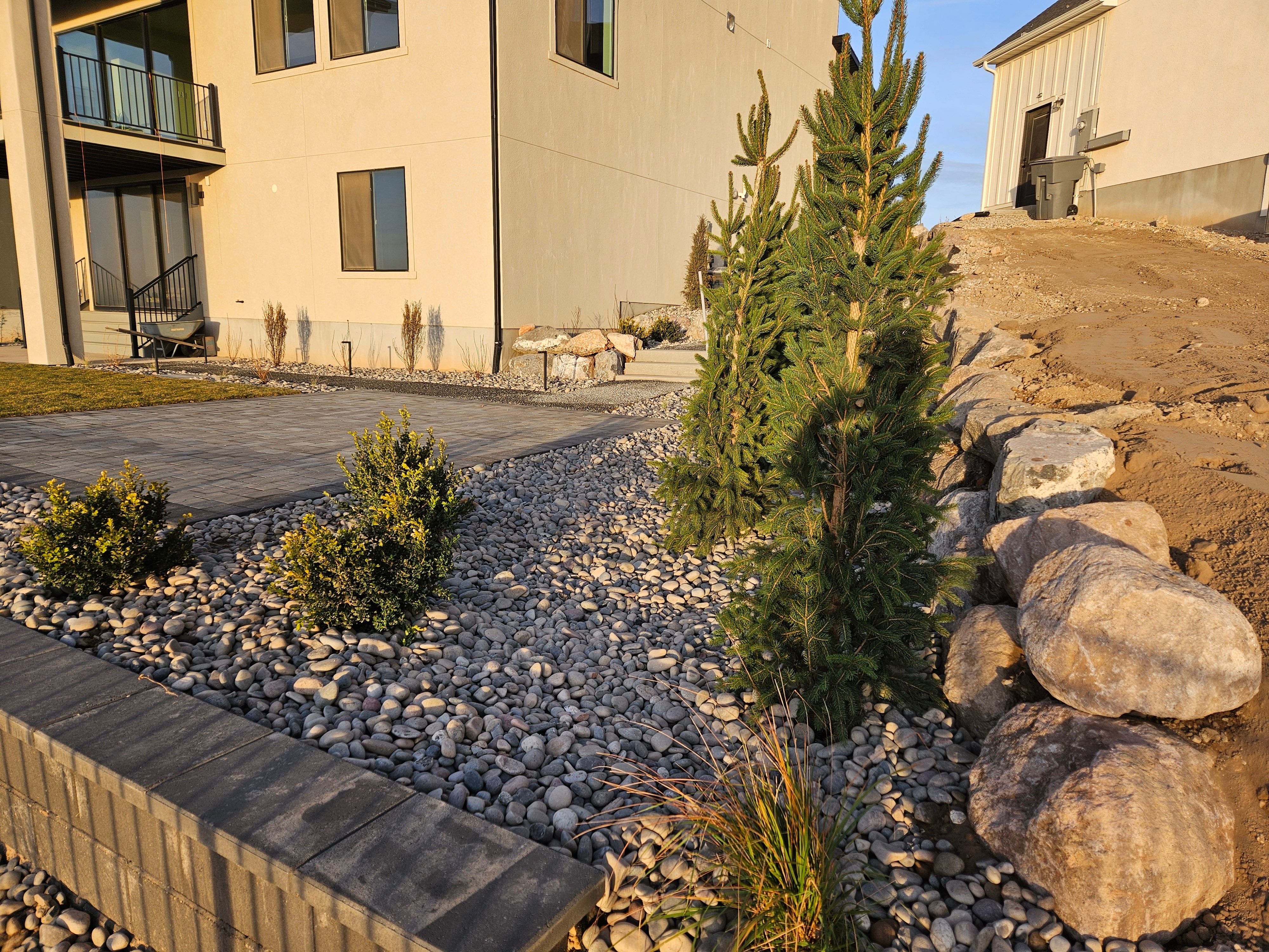 Backyard Xeriscaping and Plant