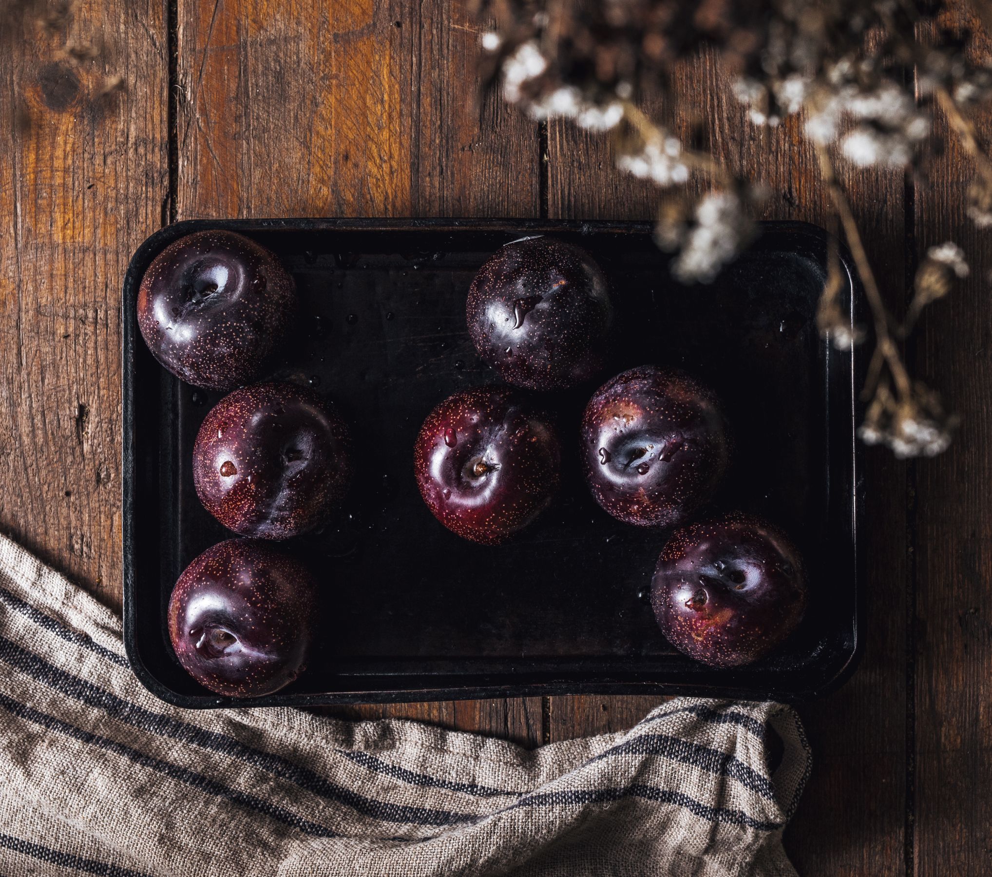 Probiotic and Prebiotic Powder Queen Australia’s own