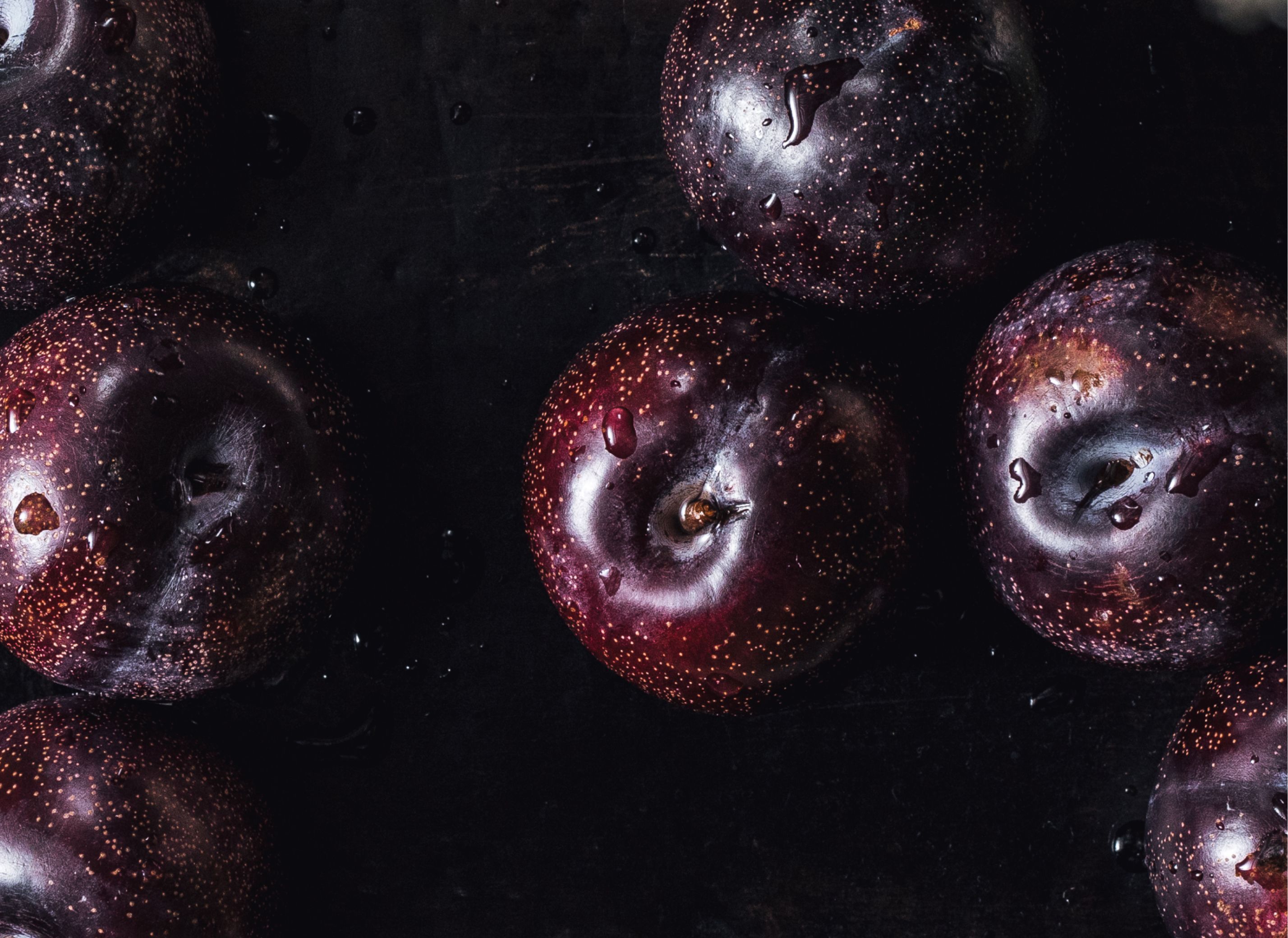 A bundle of Queen Garnet Plums laid together, glistening with fresh water droplets
