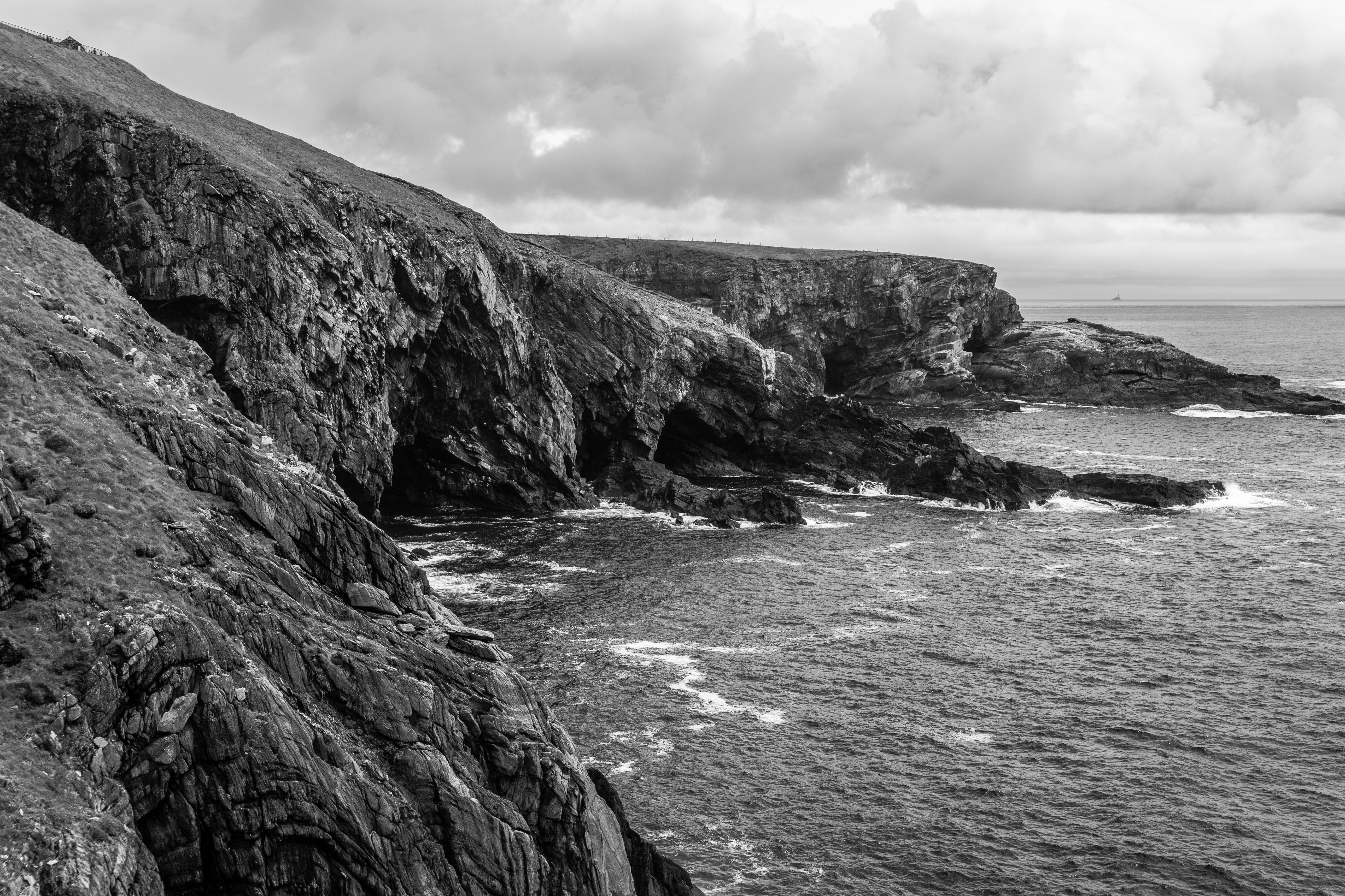 Avatar of Mickey Cotter