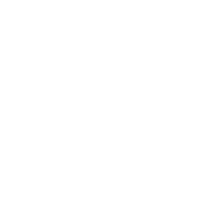 MINI Service and Repair Sacramento