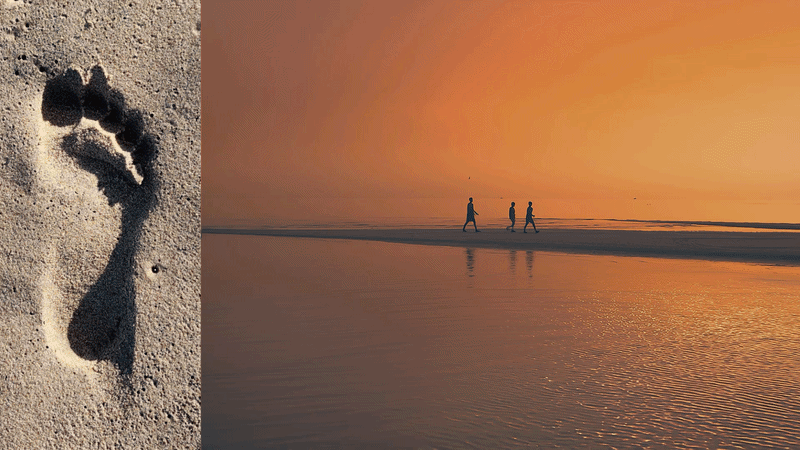 Animated visual from EverMe showing a beach at sunset with human figures walking, representing personalized wellness, longevity, and a human-centered health journey