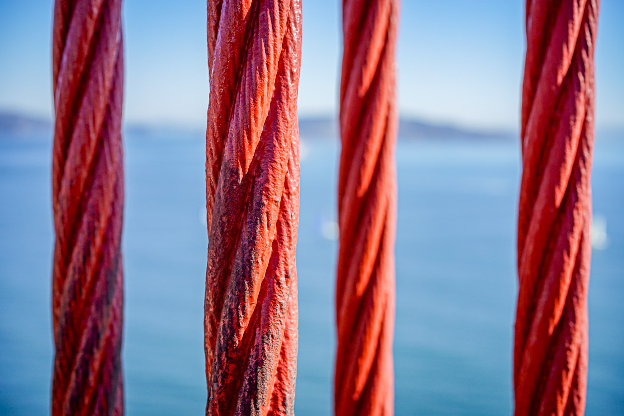 The main suspension cables of the Golden Gate Bridge, the thousands of individual steel strands that compose each cable visible at the surface. The engineering that carries the weight, examined at the level of the wire.