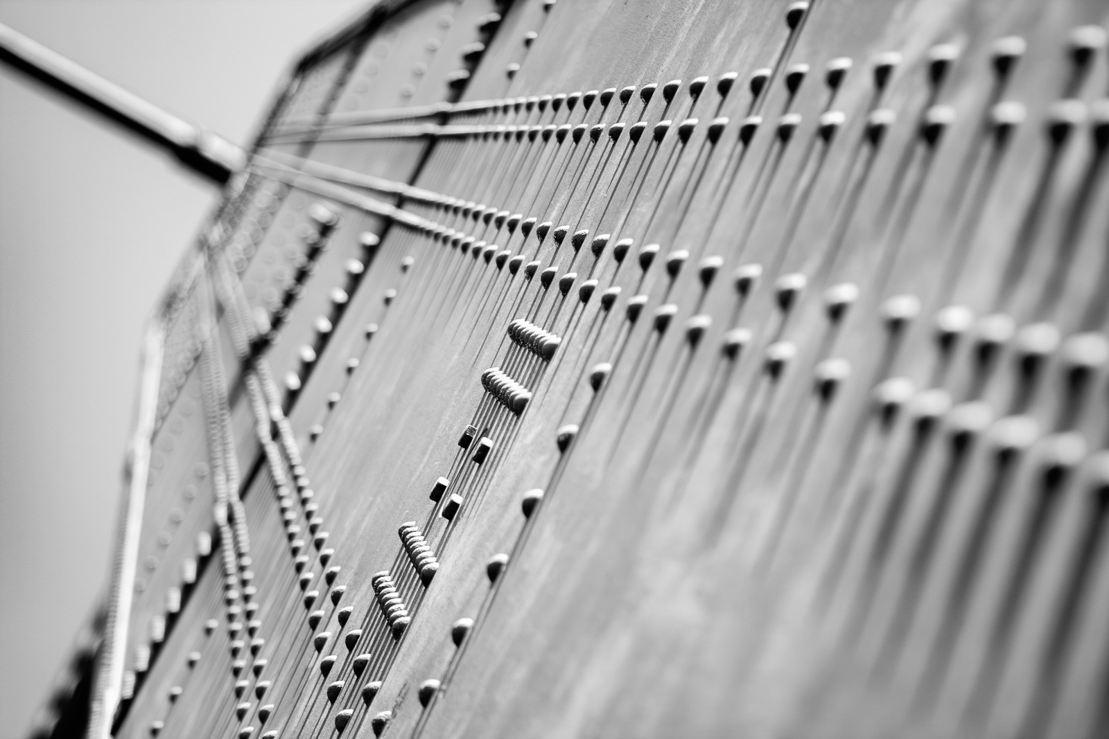 The rivets and bolts of the Golden Gate Bridge tower photographed at close range, the orange-red paint and scale of each fastener filling the frame. The hardware that holds one of the world's great bridges, treated as subject.