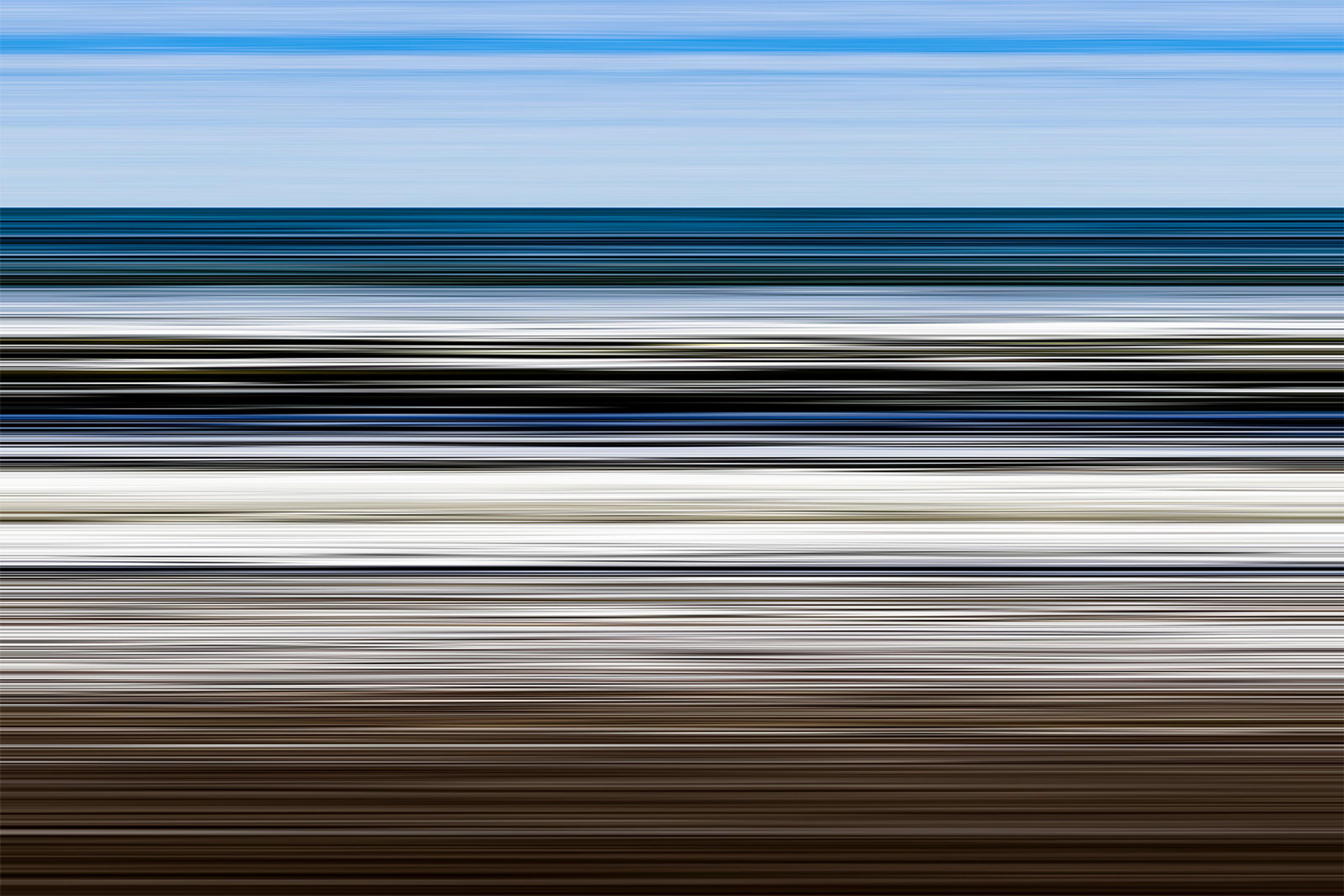 ephemeral-creatures-horizontal