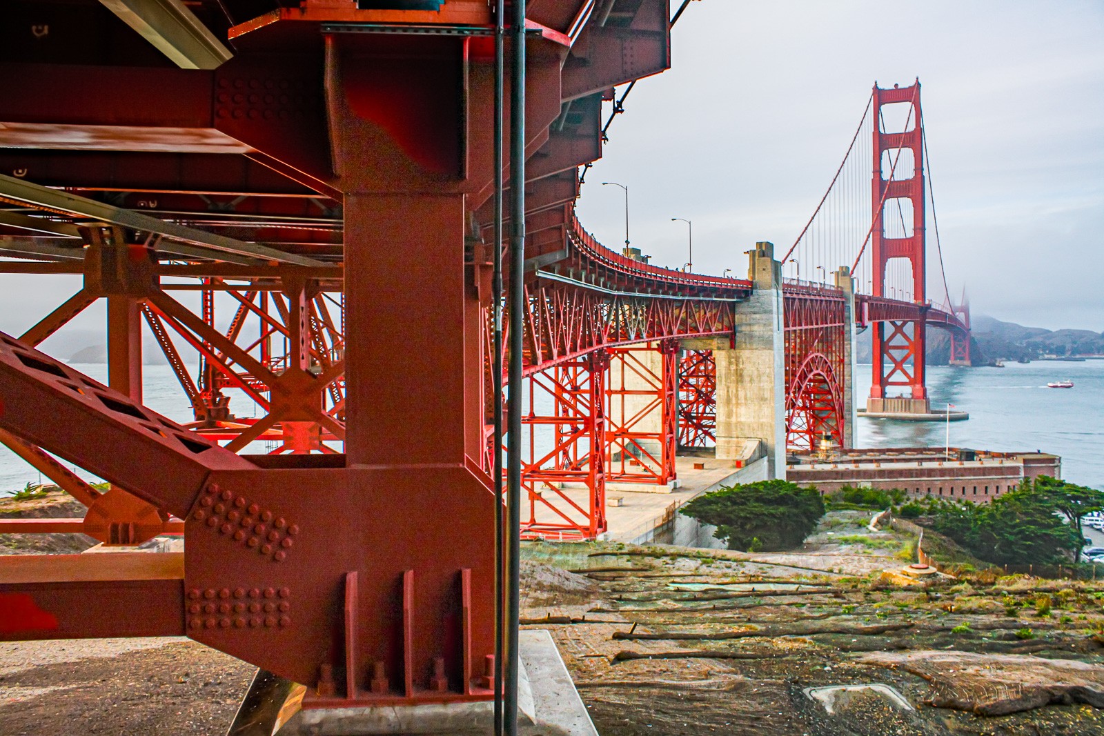 The Golden Gate Bridge from the south end, its red towers and cables rising through coastal vegetation in diffuse morning light. The fog has not yet arrived