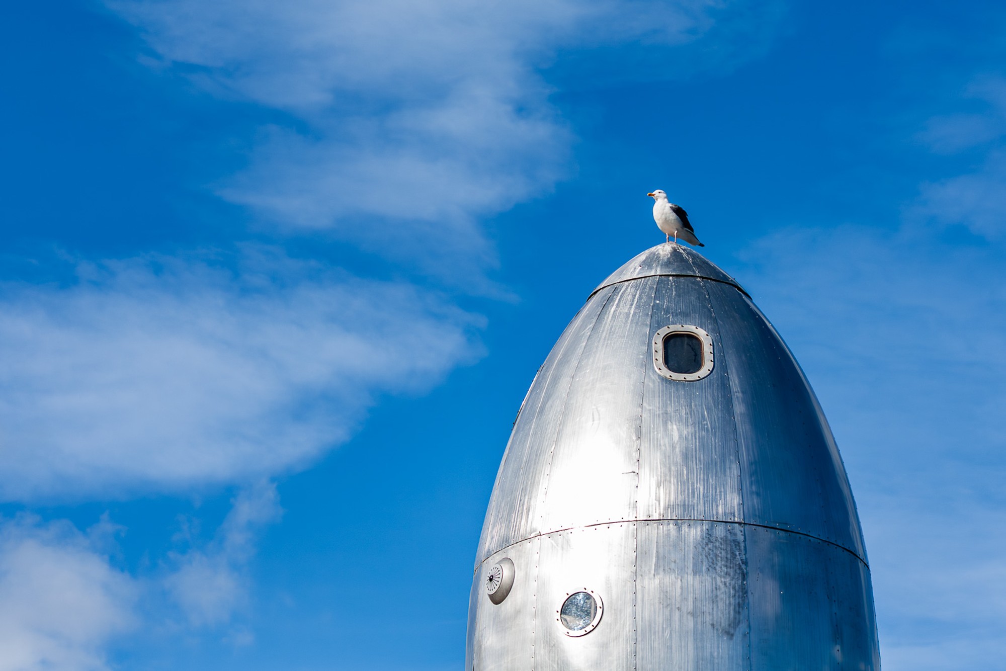 A silver torpedo-shaped sculpture at Fort Mason in San Francisco, its polished aerodynamic form rising against a bright blue sky, a single bird perched at the tip. The title makes the image considerably funnier than it looks.