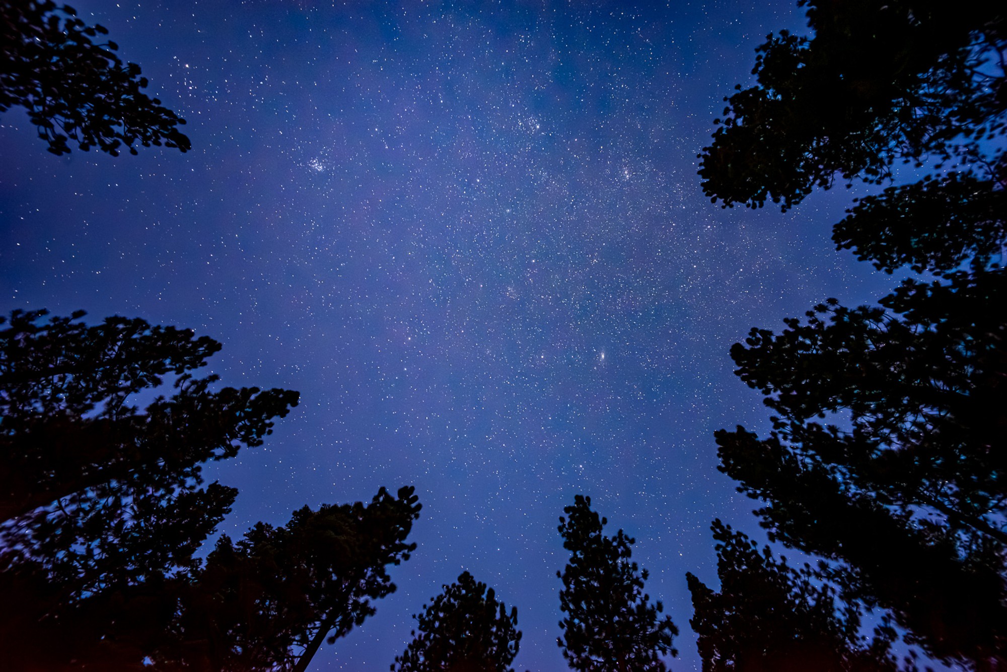 The Milky Way arching above the pine forests of Lake Tahoe, a long exposure rendering each star as a distinct point of light. The tree line is a dark silhouette below