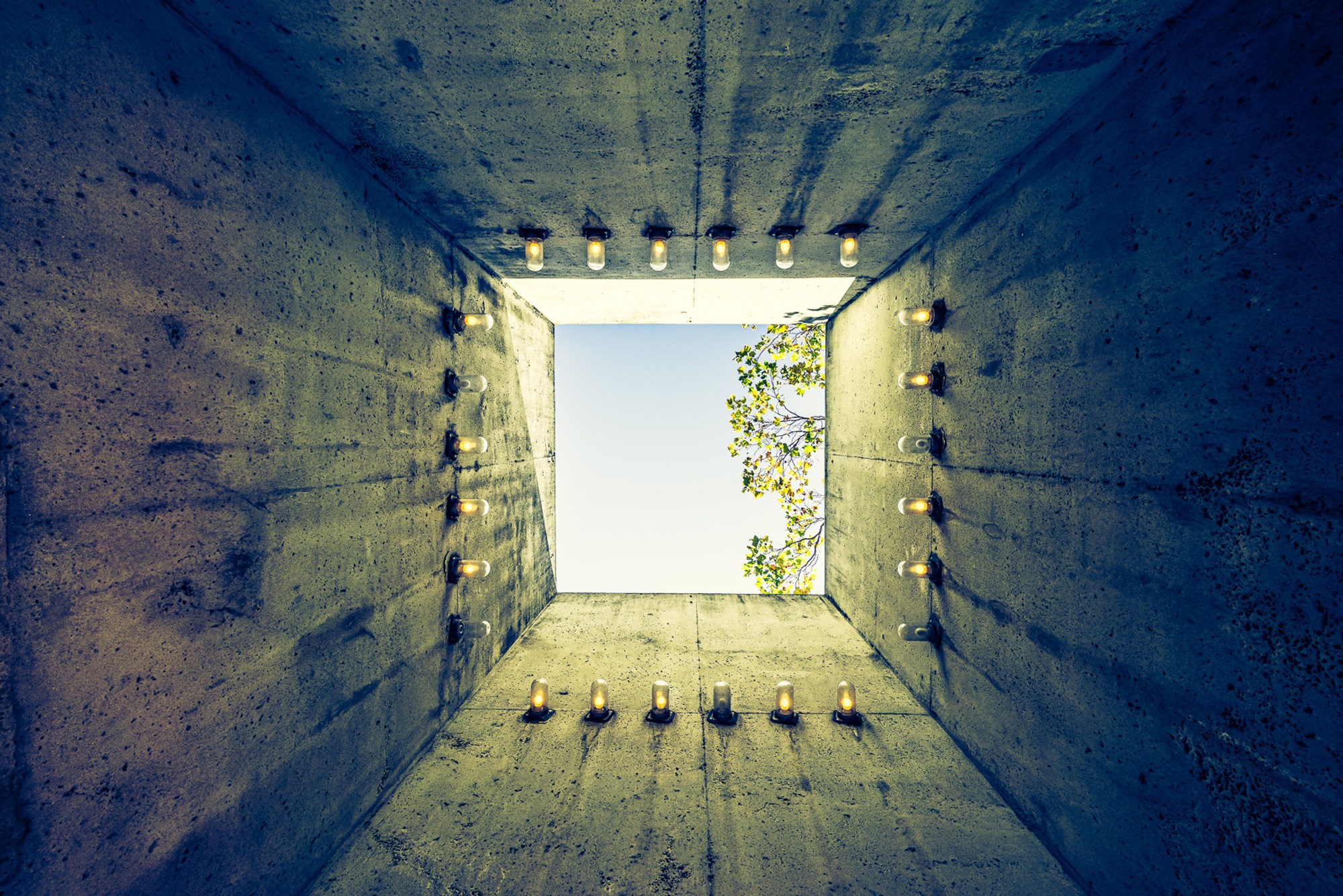 Looking up through a narrow concrete and plant-lined shaft in San Francisco, the sky a precise rectangle above. 24 bulbs, 5 broken, and 19 working - photographed precisely at 5:19 PM, what a coincidence.