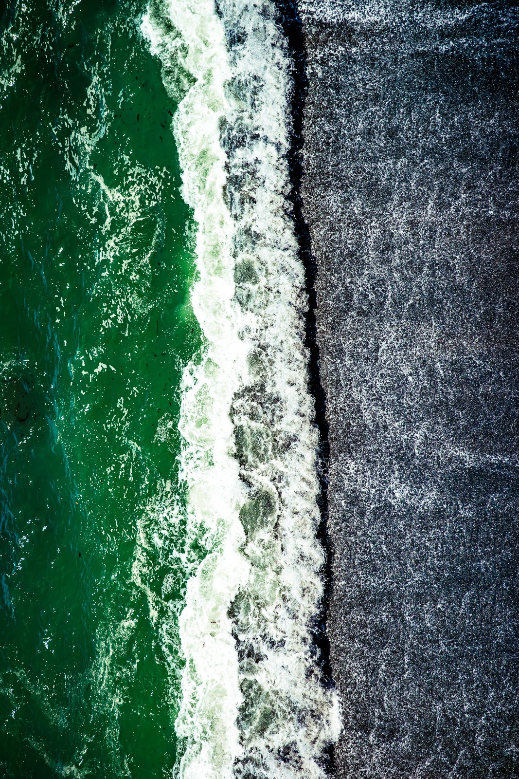 The dark volcanic sand of a Point Reyes beach against the saturated green of the sea-grass above the tideline. A colour combination that doesn't appear in most beach photographs - the Pacific coast at its most specific.