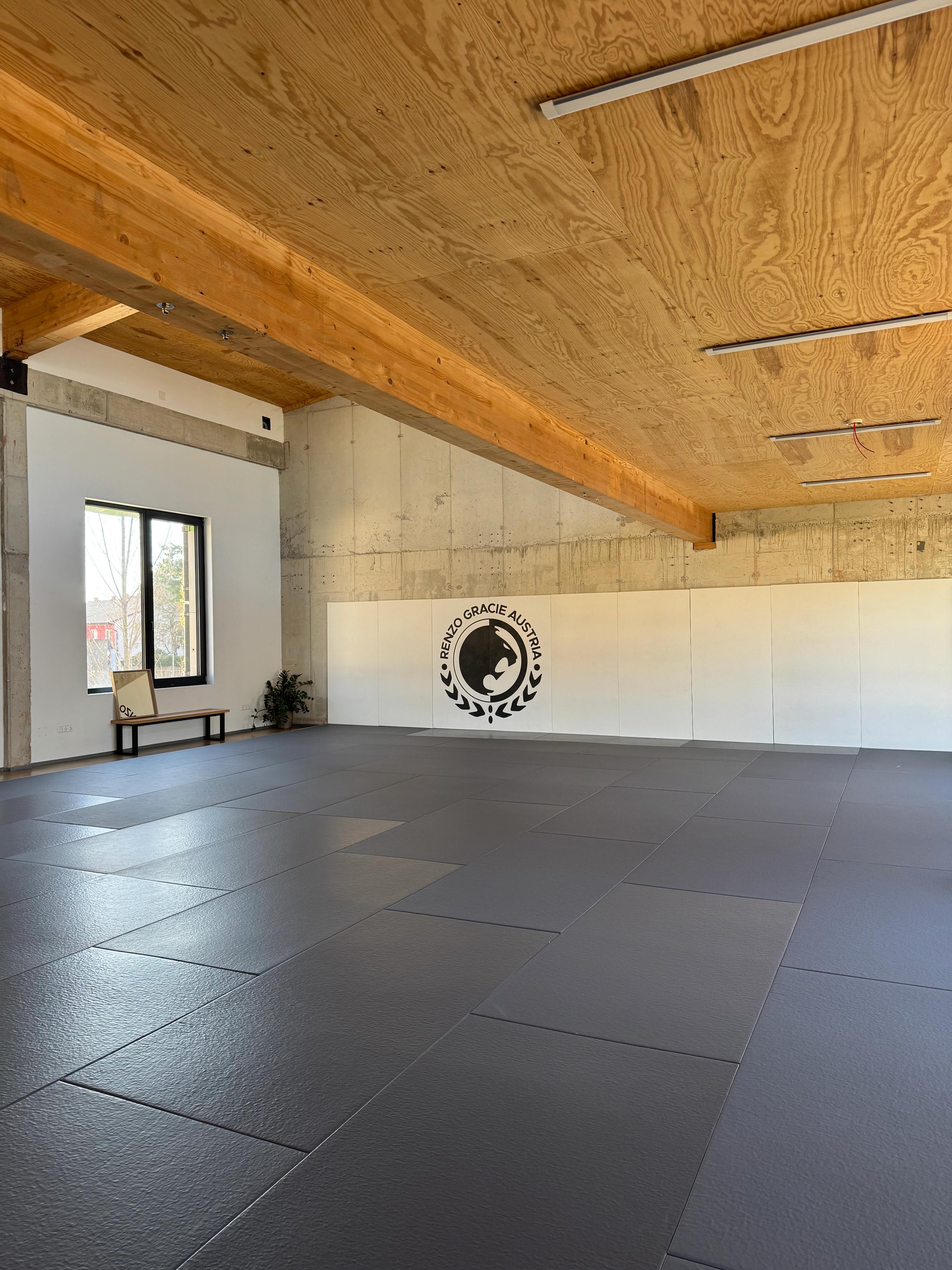 Training bei Renzo Gracie Austria – Brazilian Jiu-Jitsu (BJJ) in Graz, Österreich.