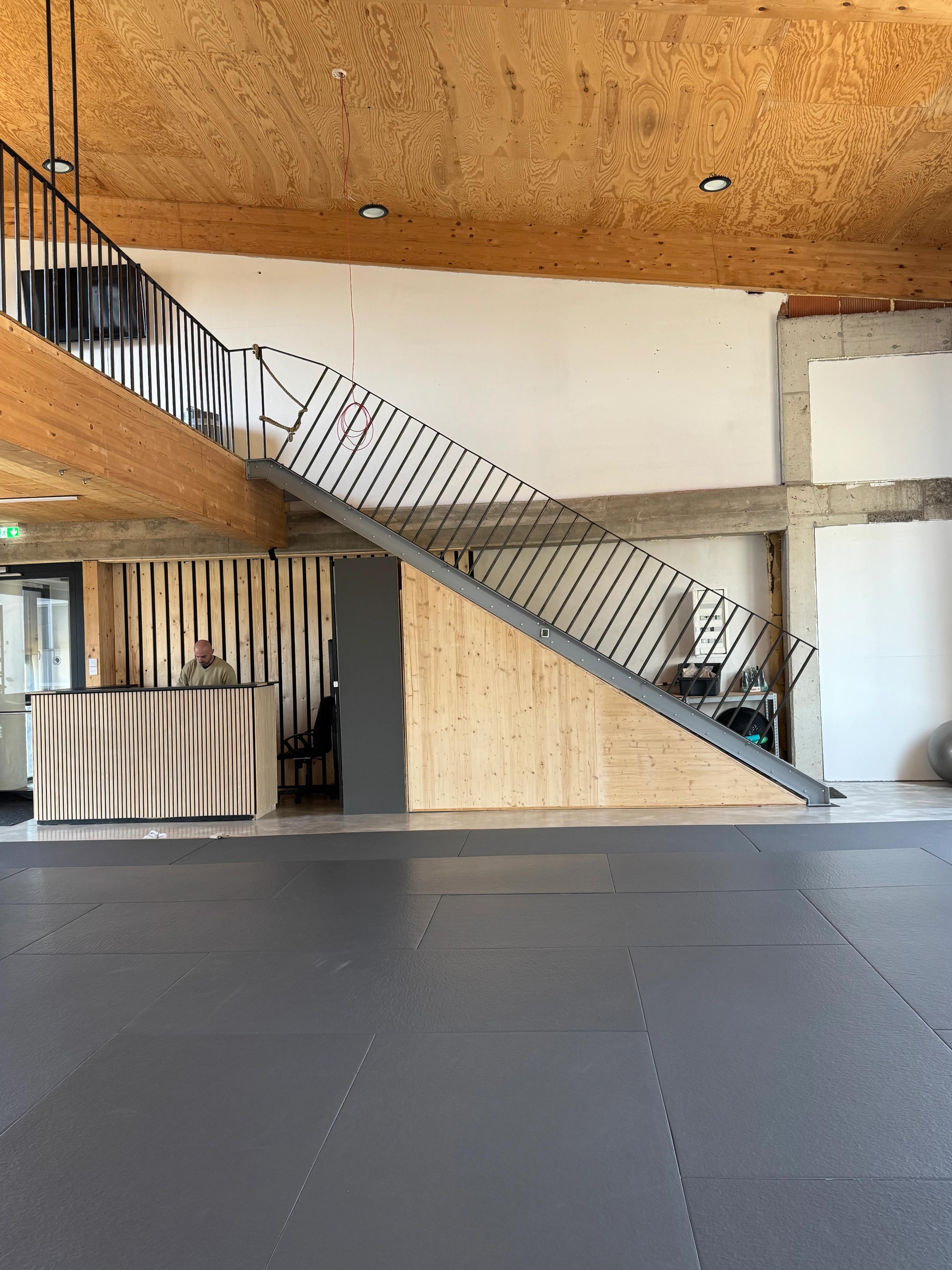 Training bei Renzo Gracie Austria – Brazilian Jiu-Jitsu (BJJ) in Graz, Österreich.