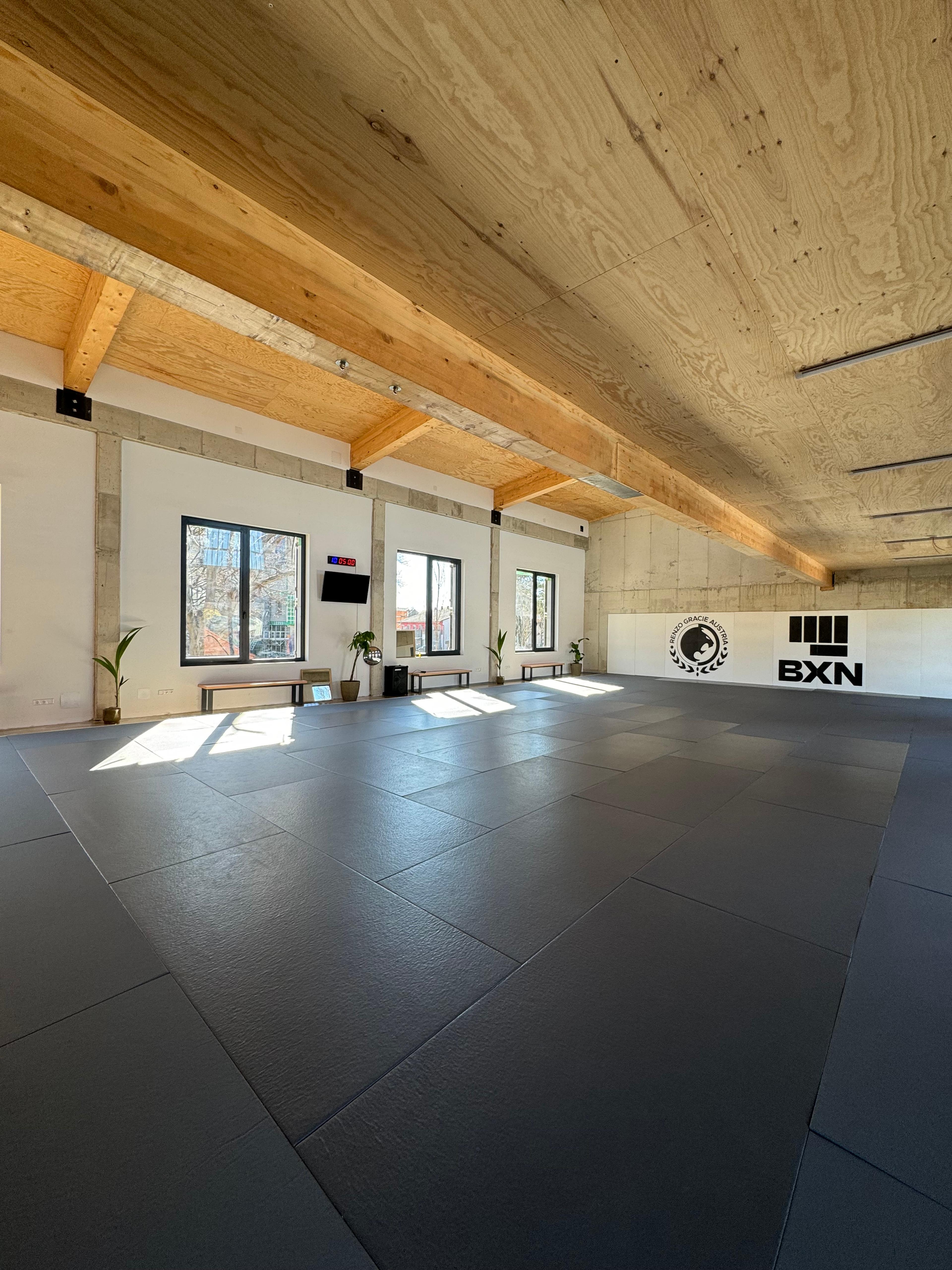 Training bei Renzo Gracie Austria – Brazilian Jiu-Jitsu (BJJ) in Graz, Österreich.