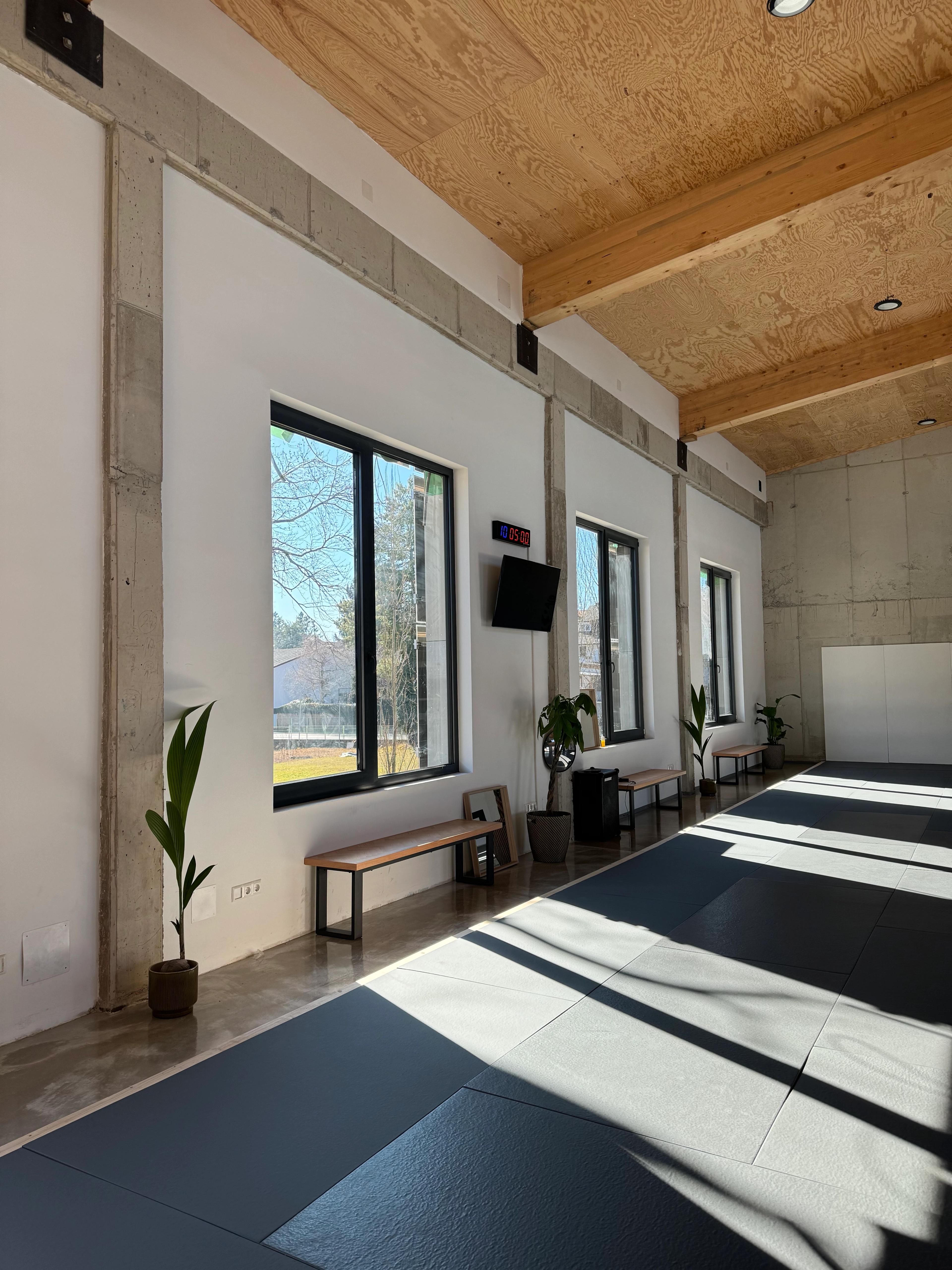 Training bei Renzo Gracie Austria – Brazilian Jiu-Jitsu (BJJ) in Graz, Österreich.