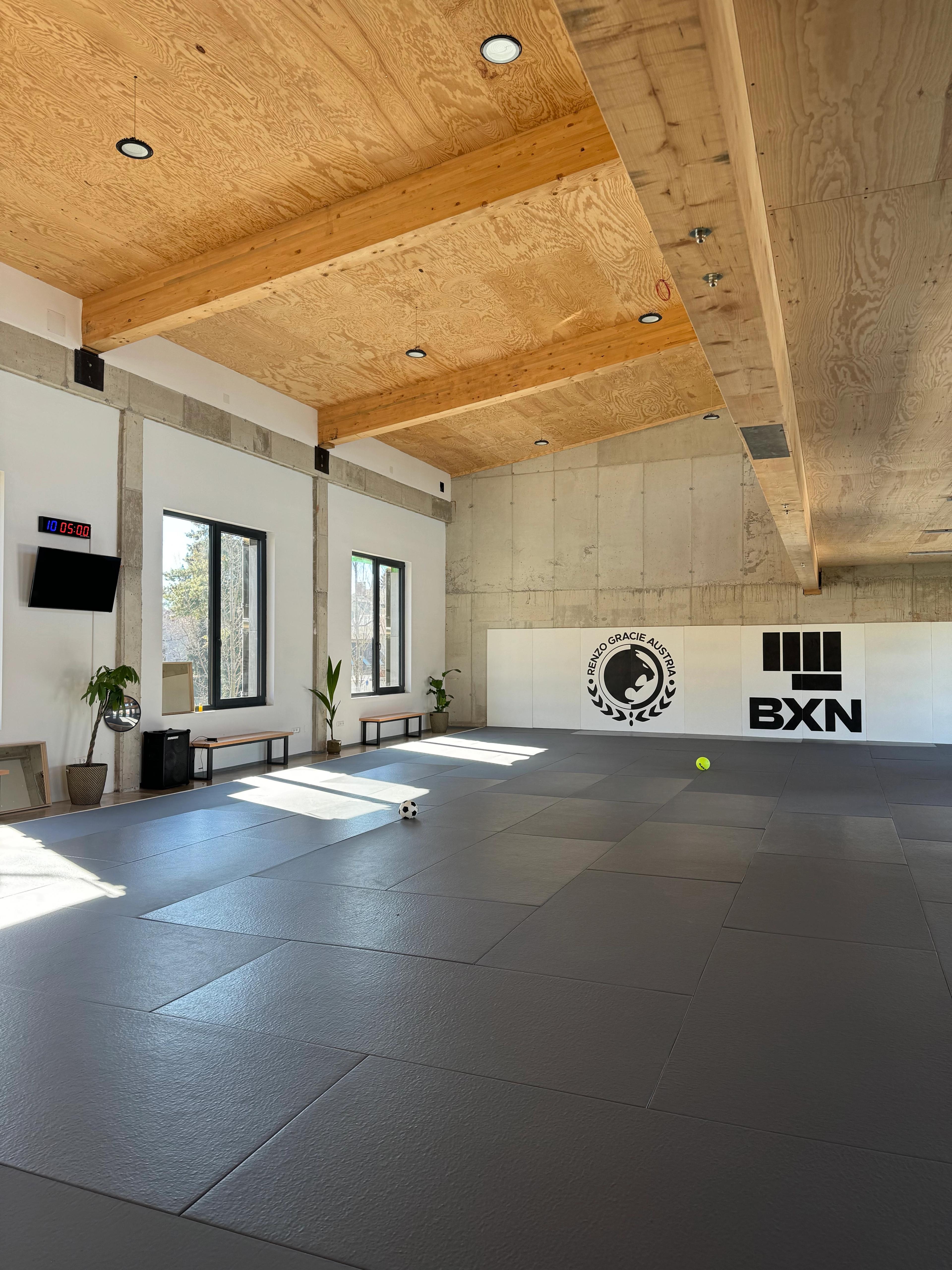 Training bei Renzo Gracie Austria – Brazilian Jiu-Jitsu (BJJ) in Graz, Österreich.