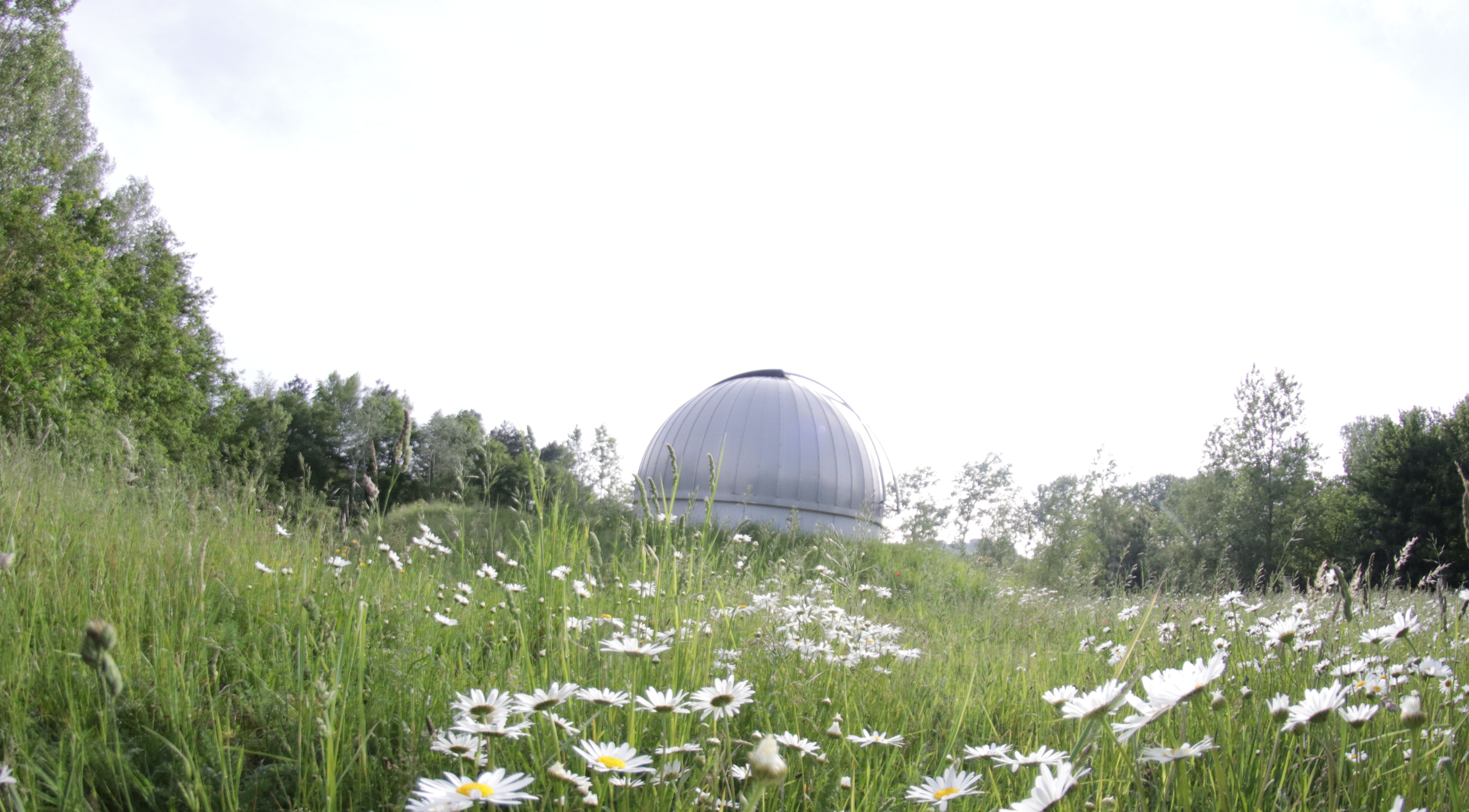 Onze koepel langs een veld bloemen