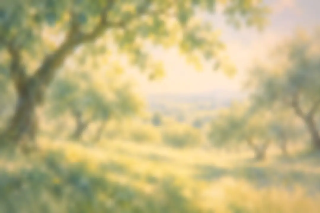 Painting of an olive grove in soft sunlight with hills beyond