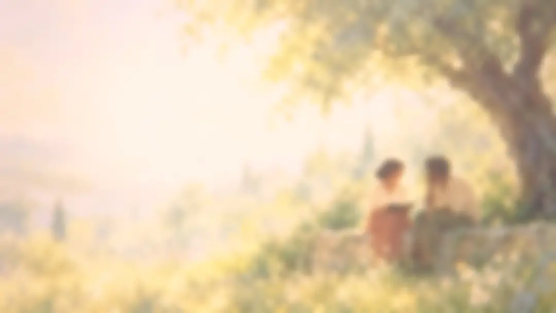 calm people forest