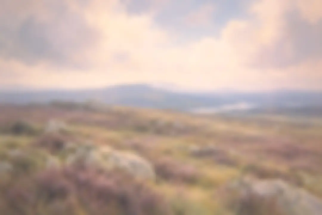 Painting of heather moorland with granite boulders and a distant lake