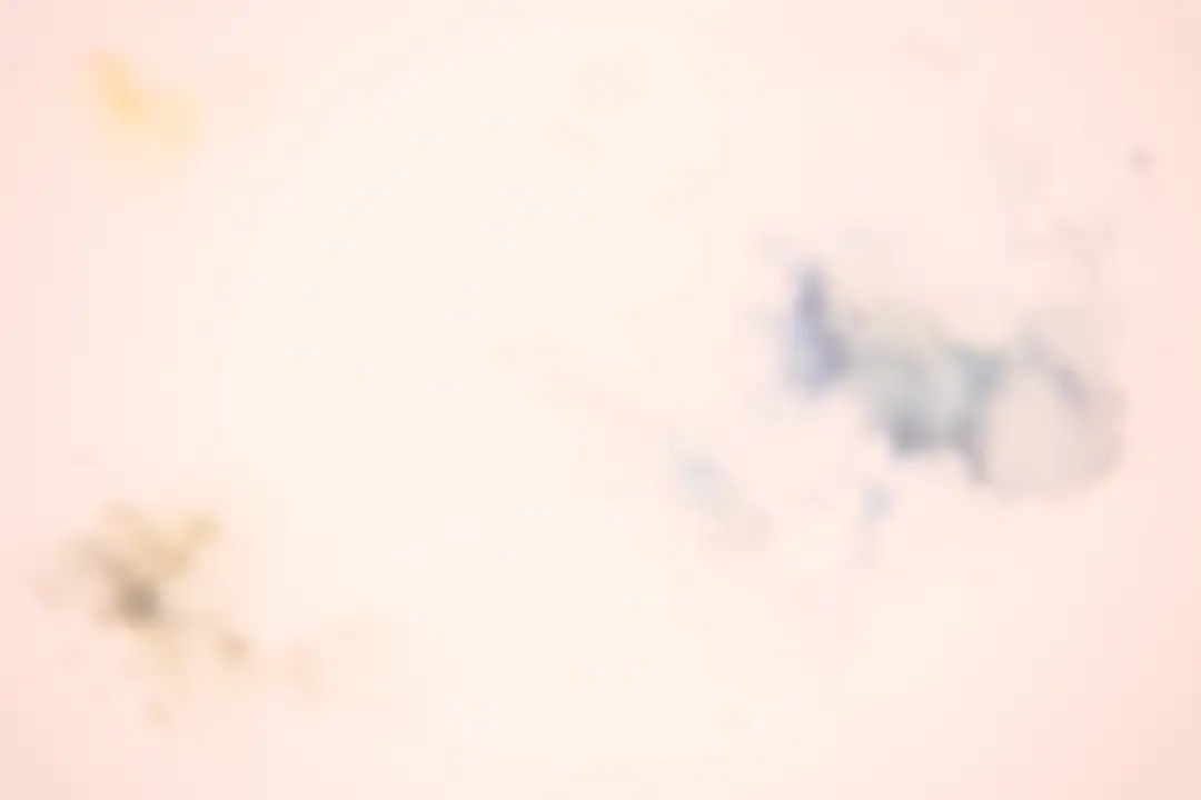 blue painitng
