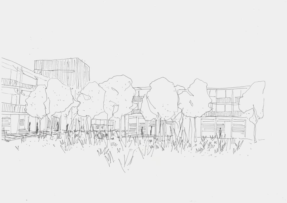 Dairy Road A wetlands neighbourhood