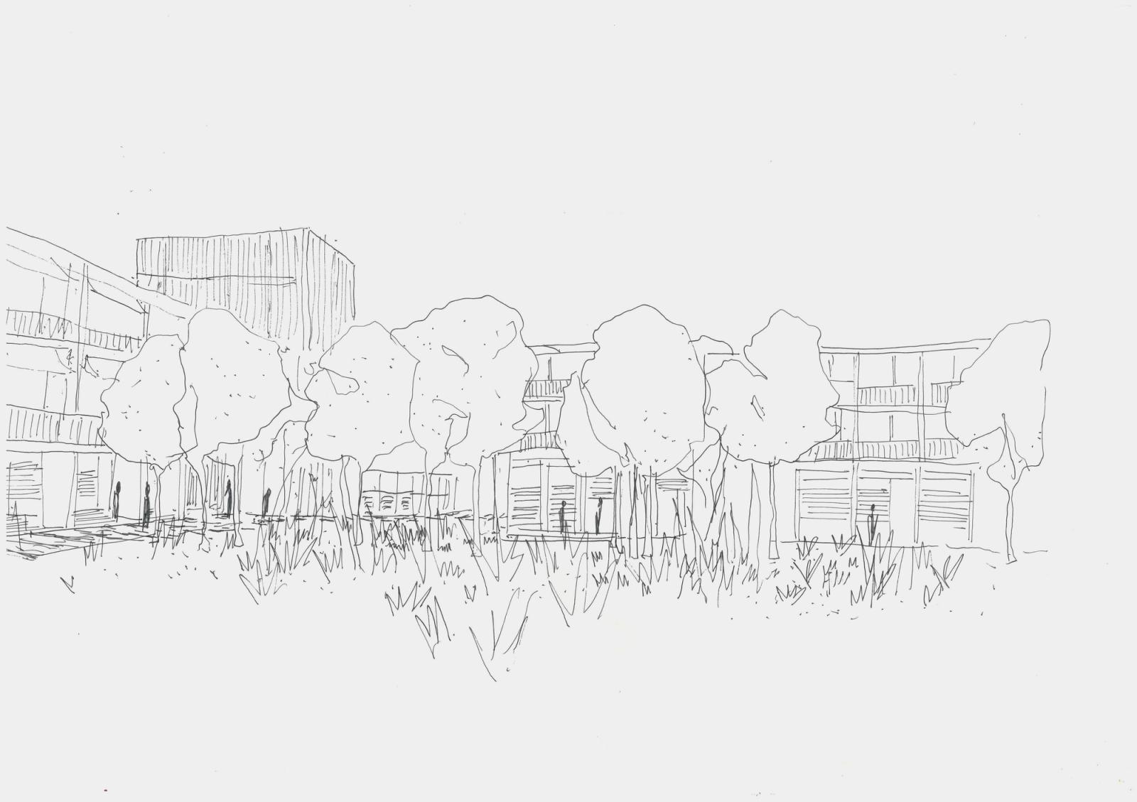 Dairy Road A wetlands neighbourhood