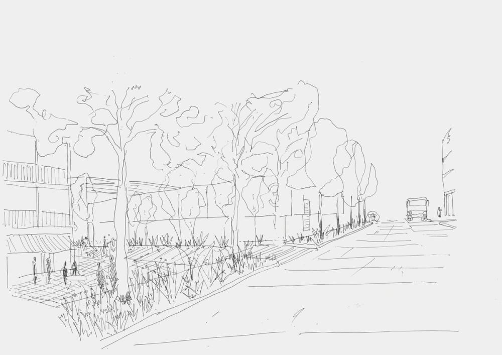 Dairy Road A wetlands neighbourhood