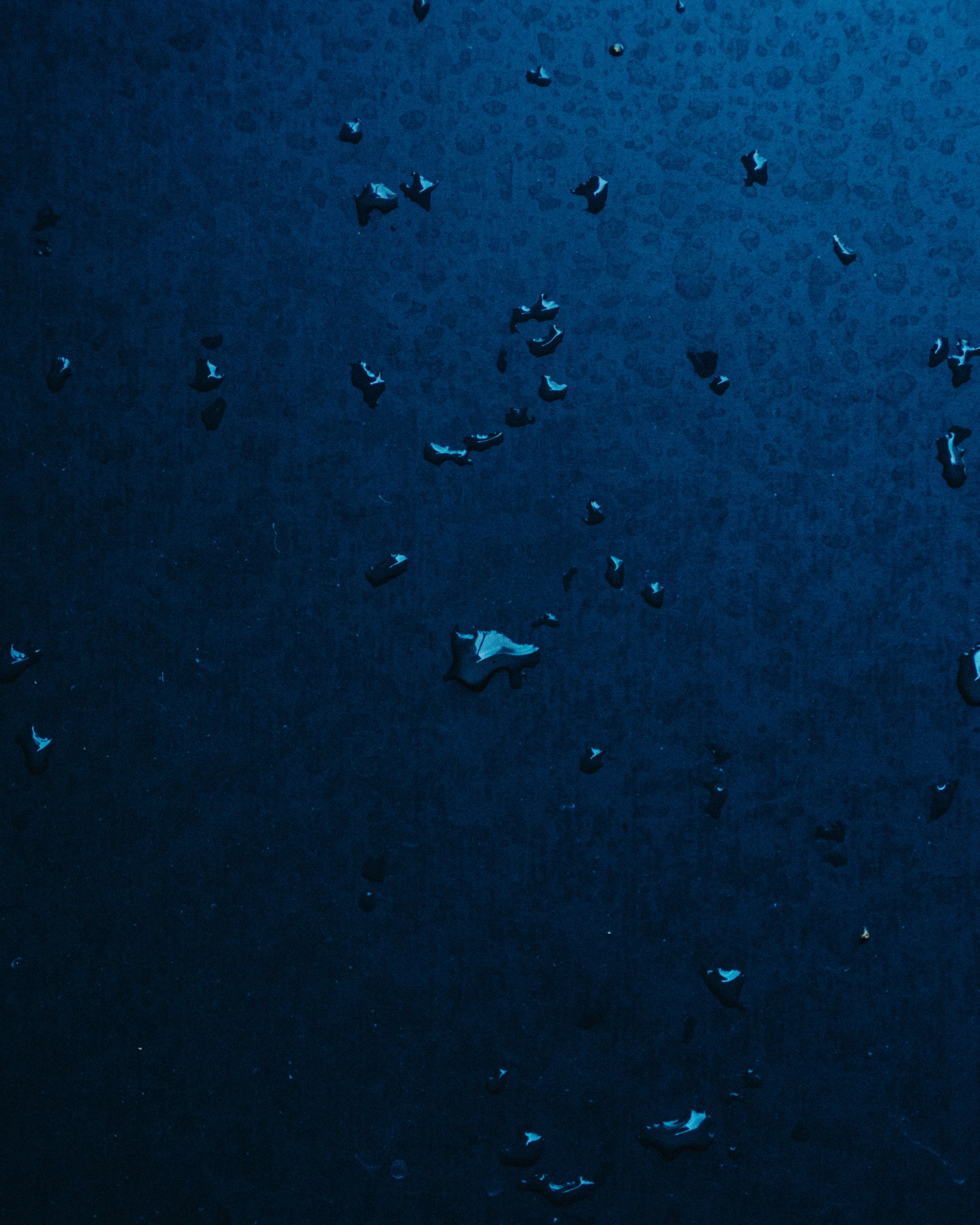 Water droplets on a deep blue surface.