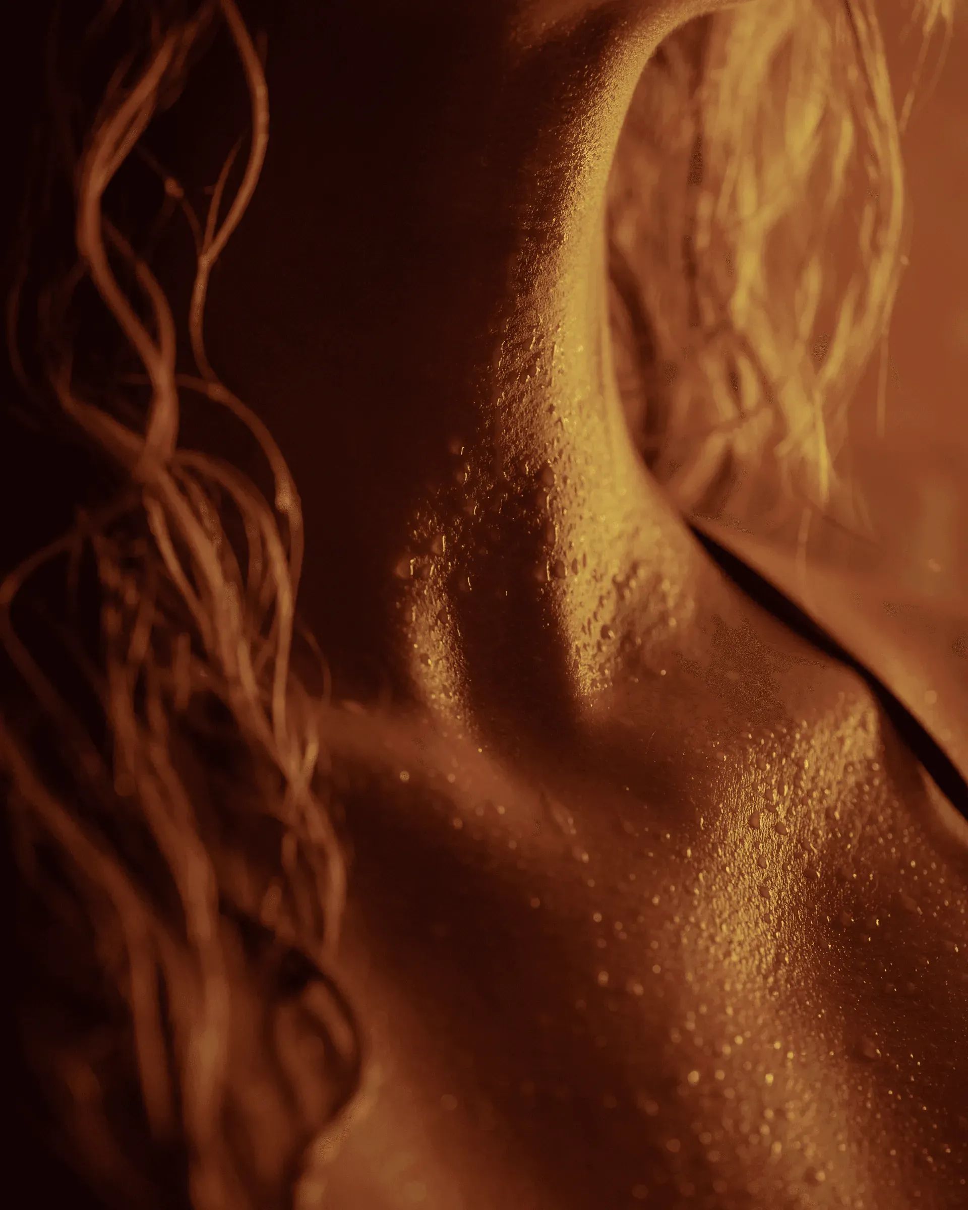 Testing Variant2 — image 2