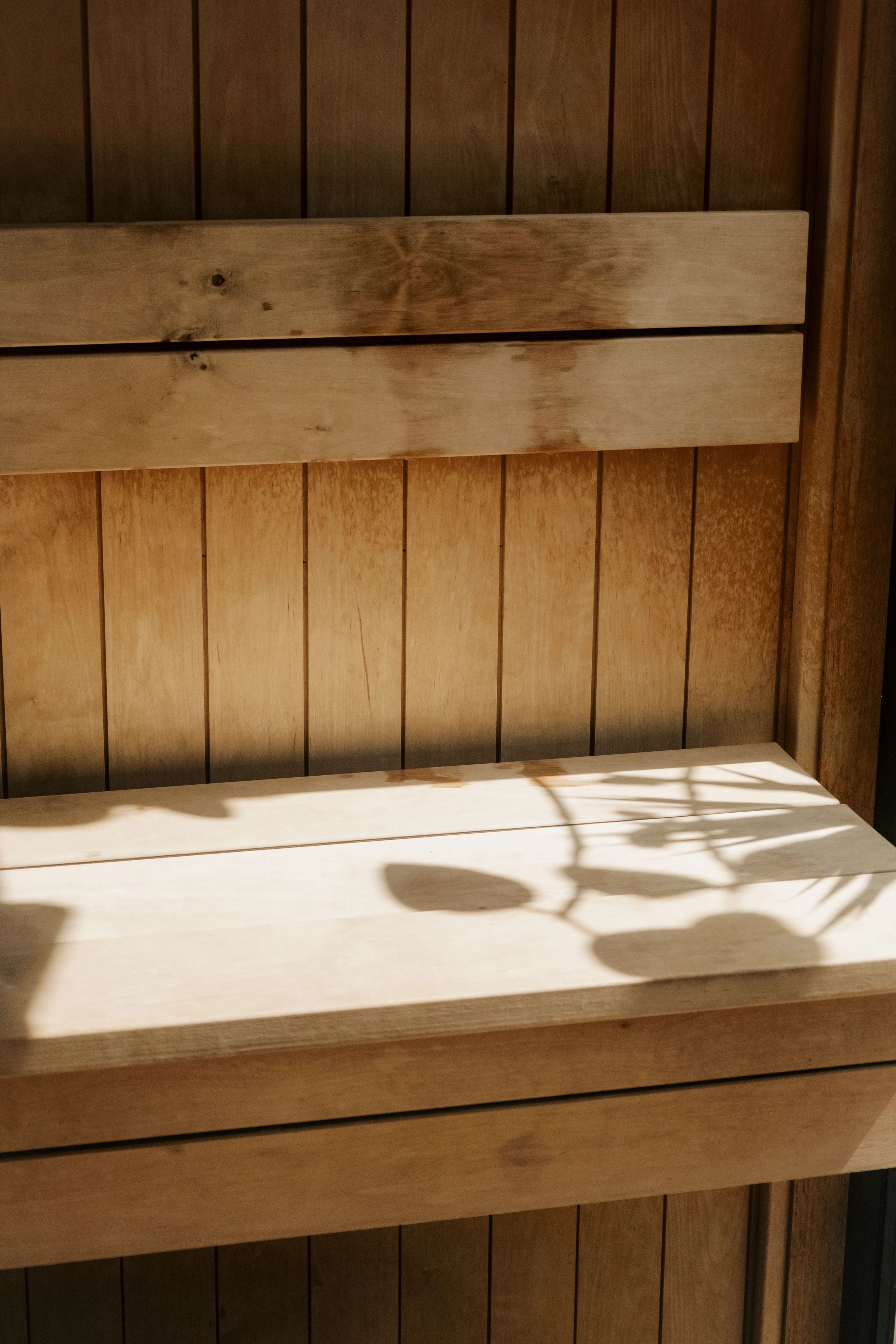 Sunlight and plant shadows across a wood sauna bench.