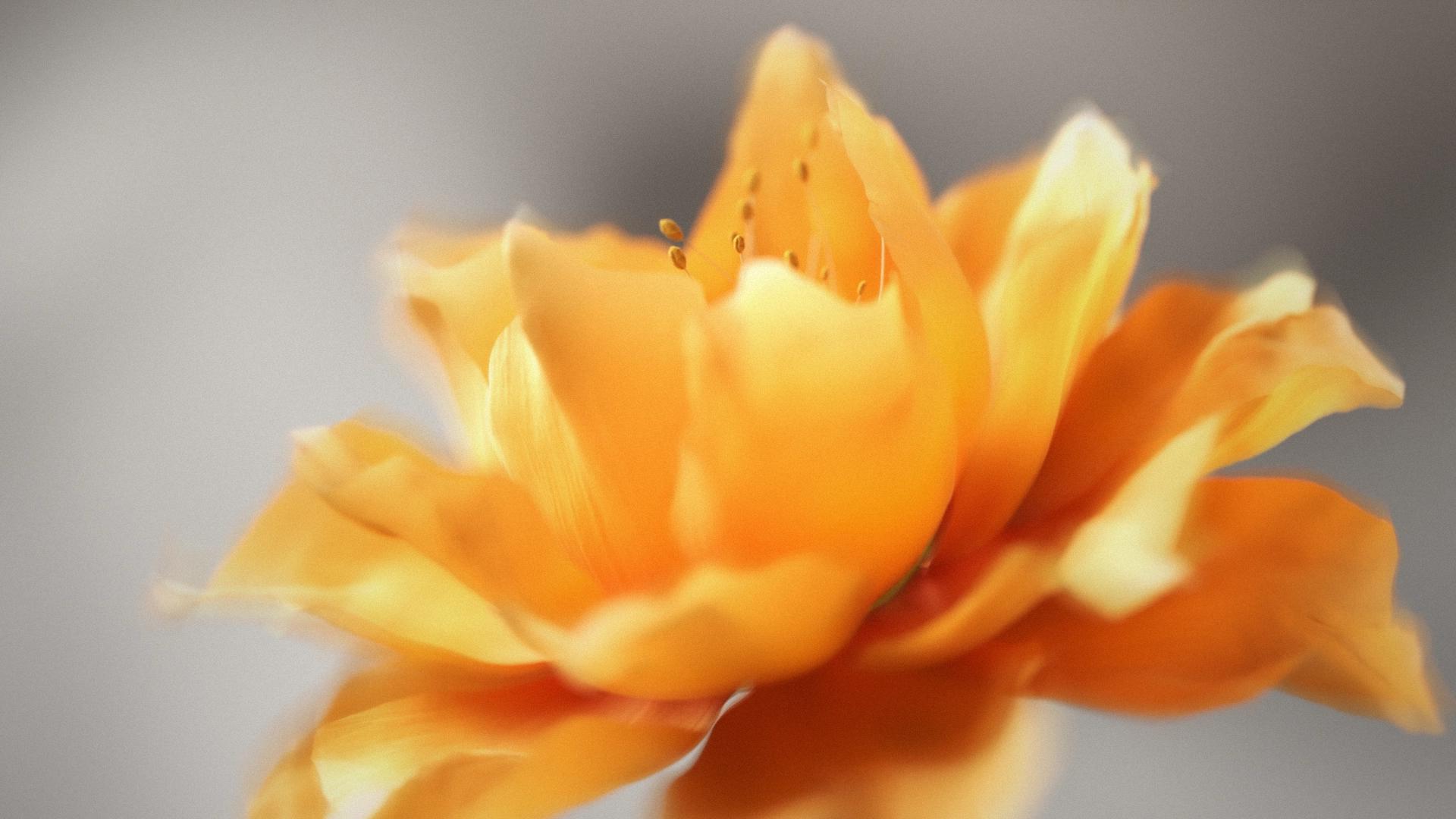 Project Detail Image 1