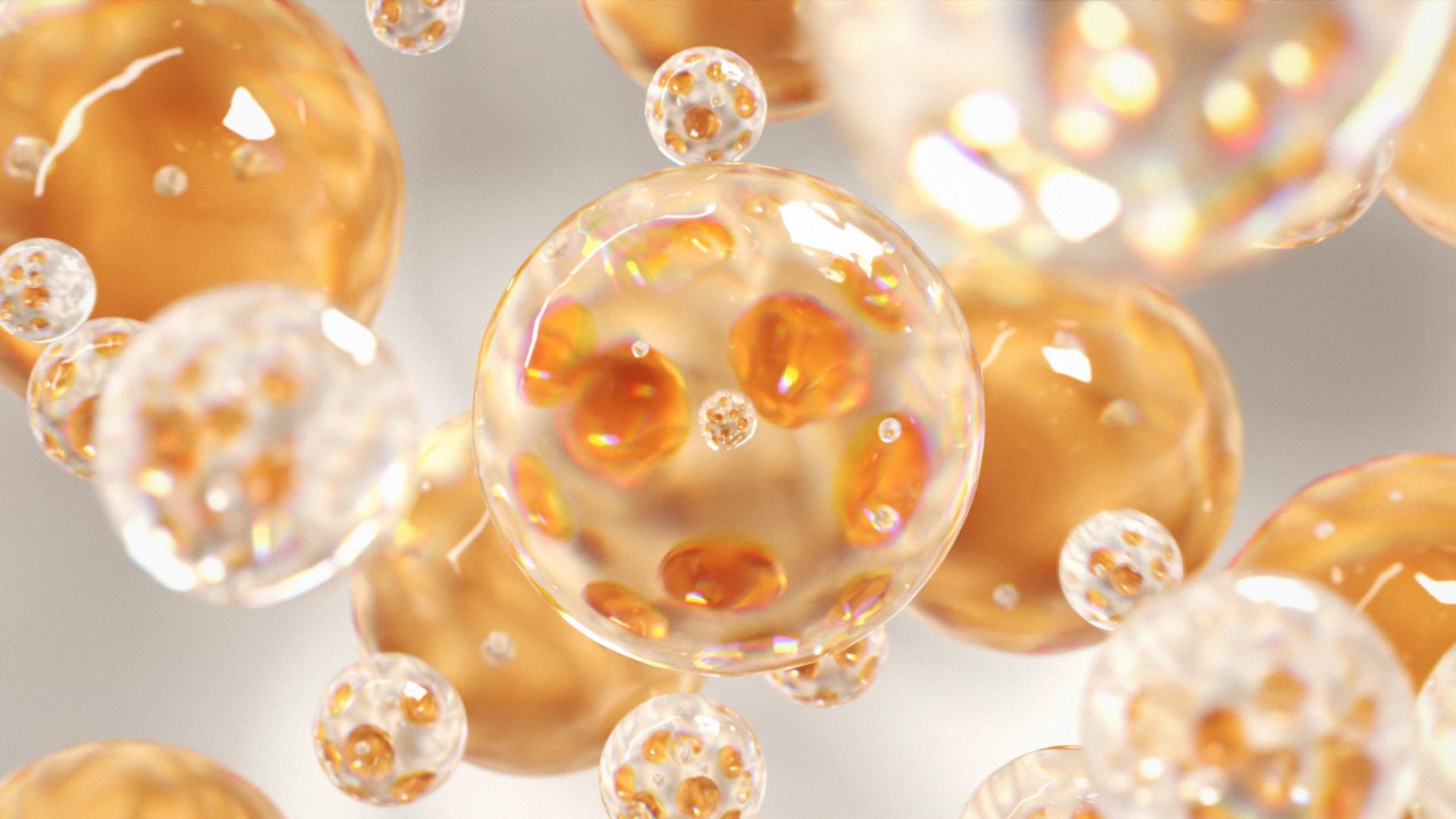 Project Detail Image 1