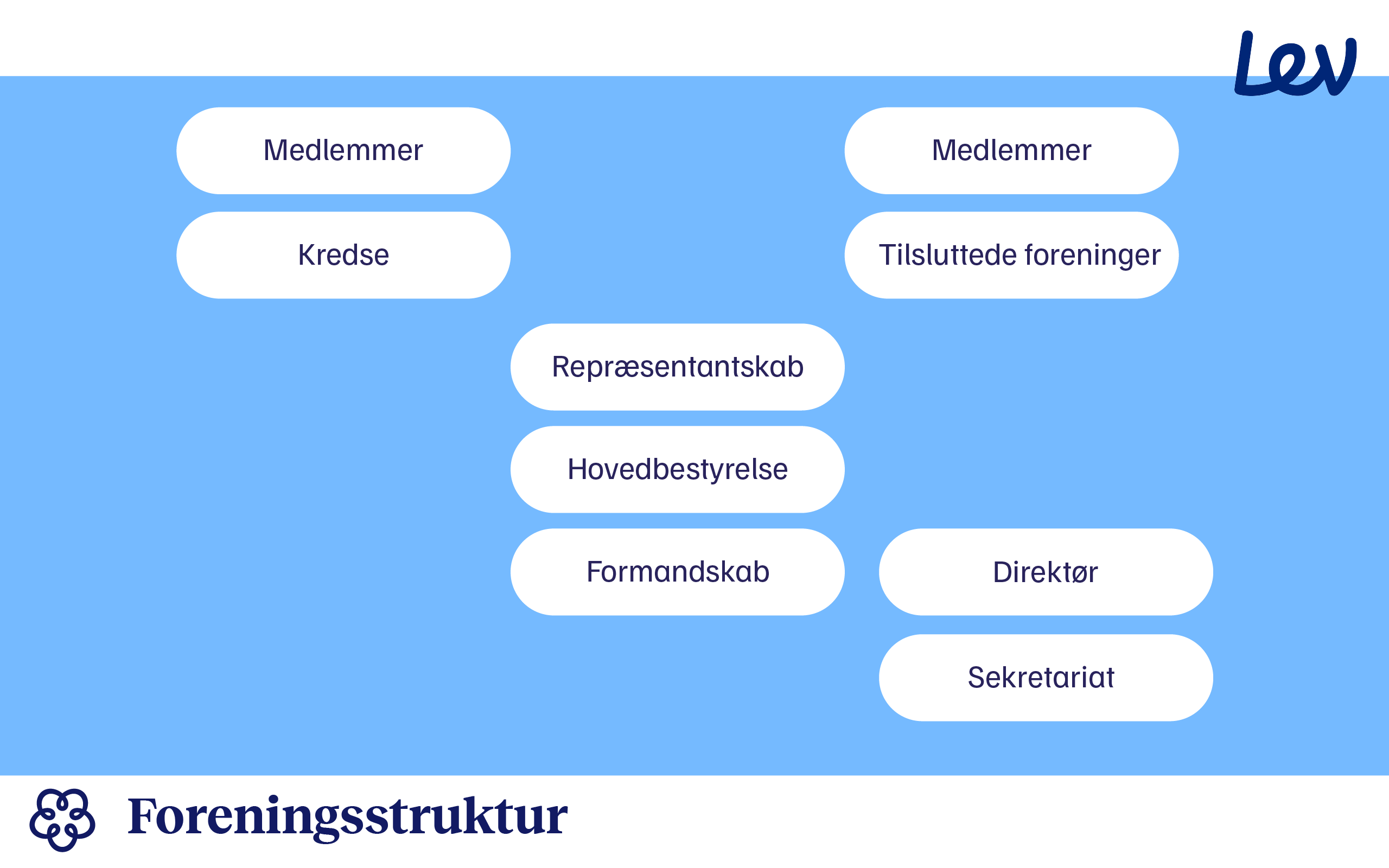 Foreningsstruktur