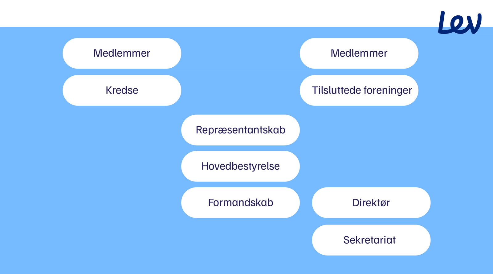 Foreningsstruktur
