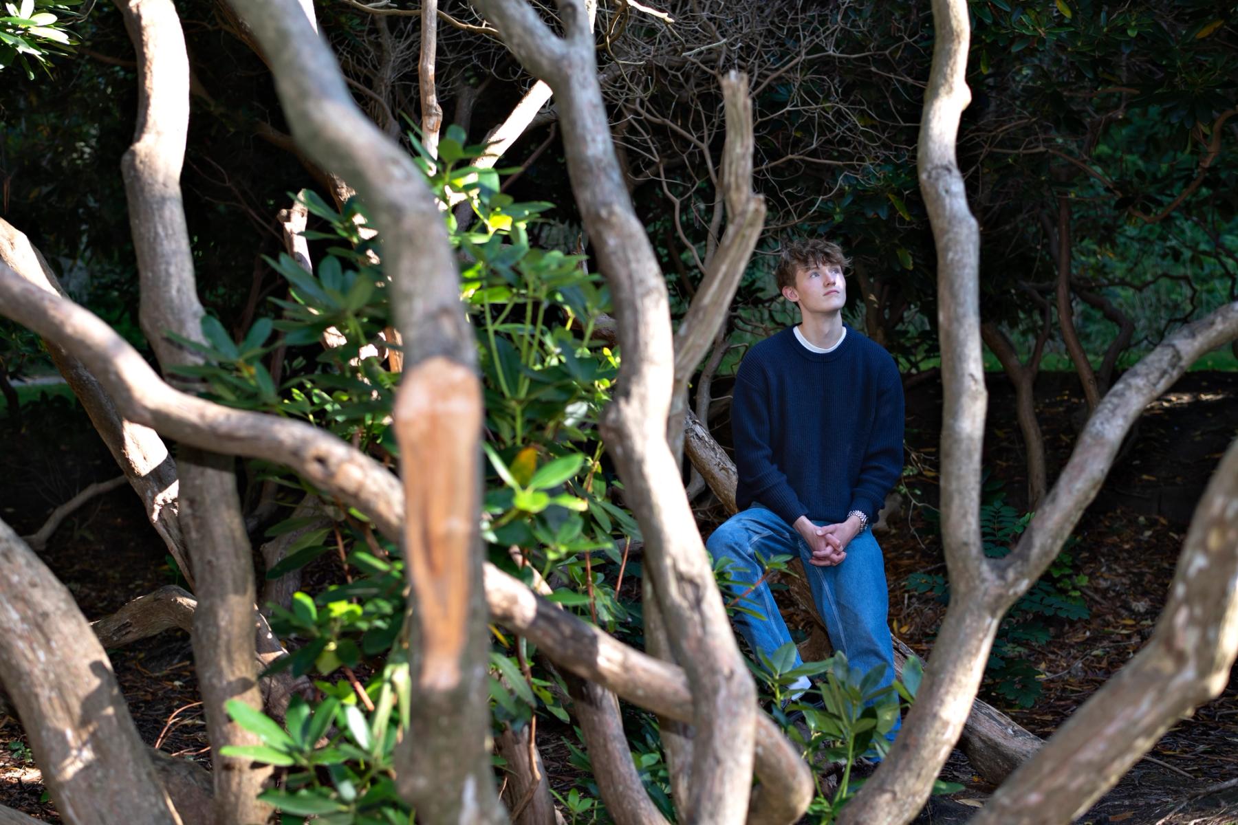 Fyr sidder på en gren i en skov