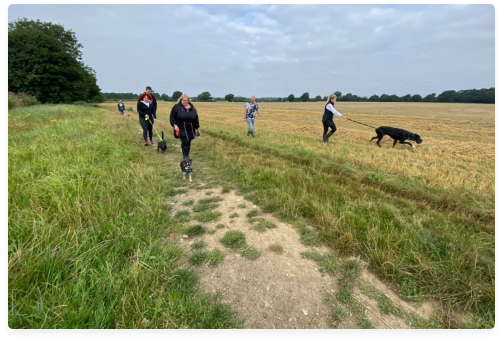 Supervised walk